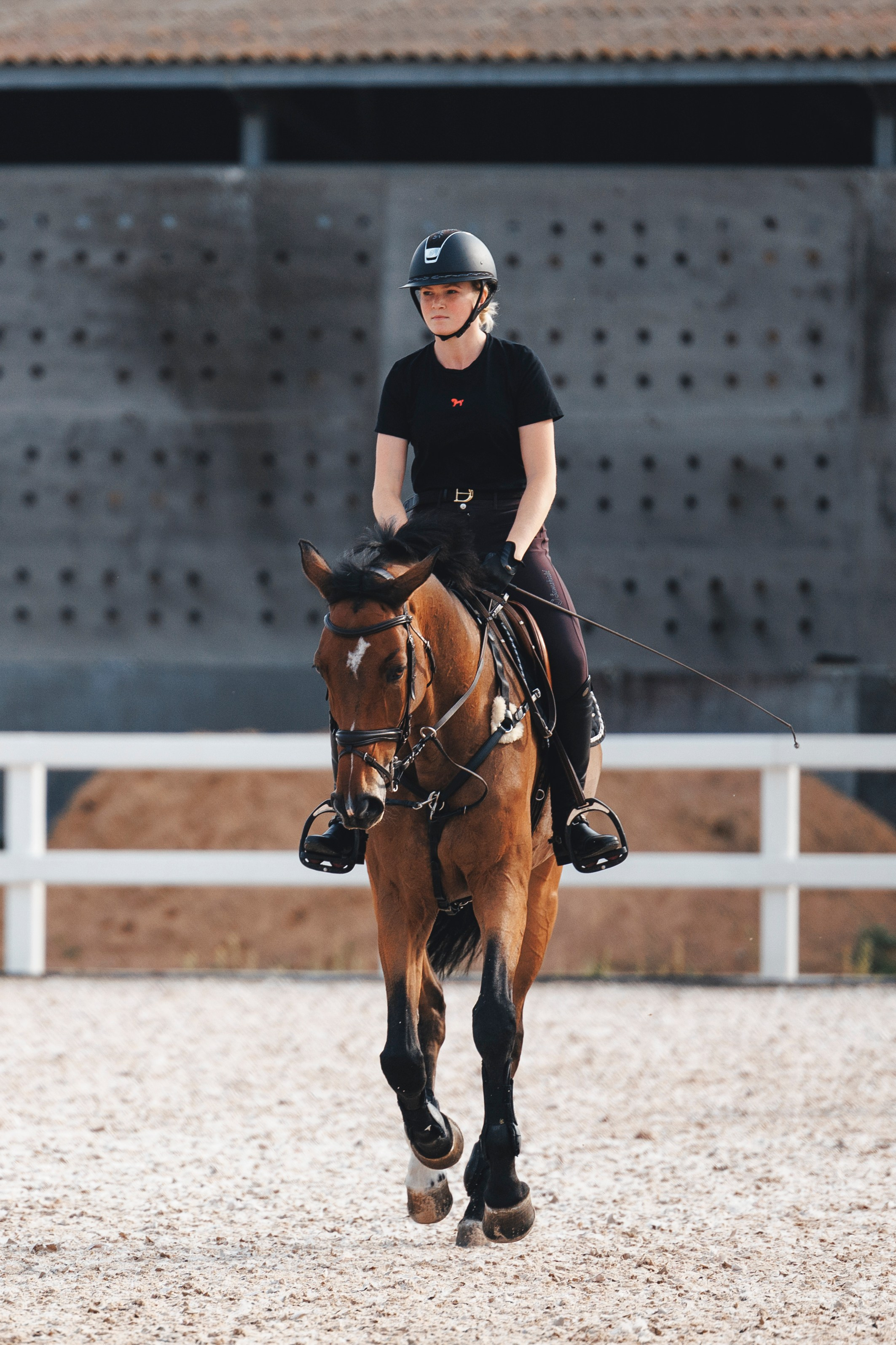 Конкур. Фотограф-анималист Анна Маринич