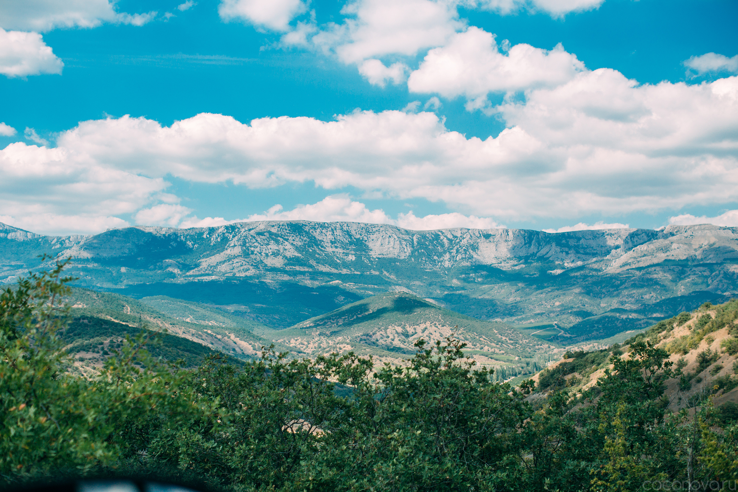 Wedding by the Sea. Valeria Coconova Photographer Italy Como Milan