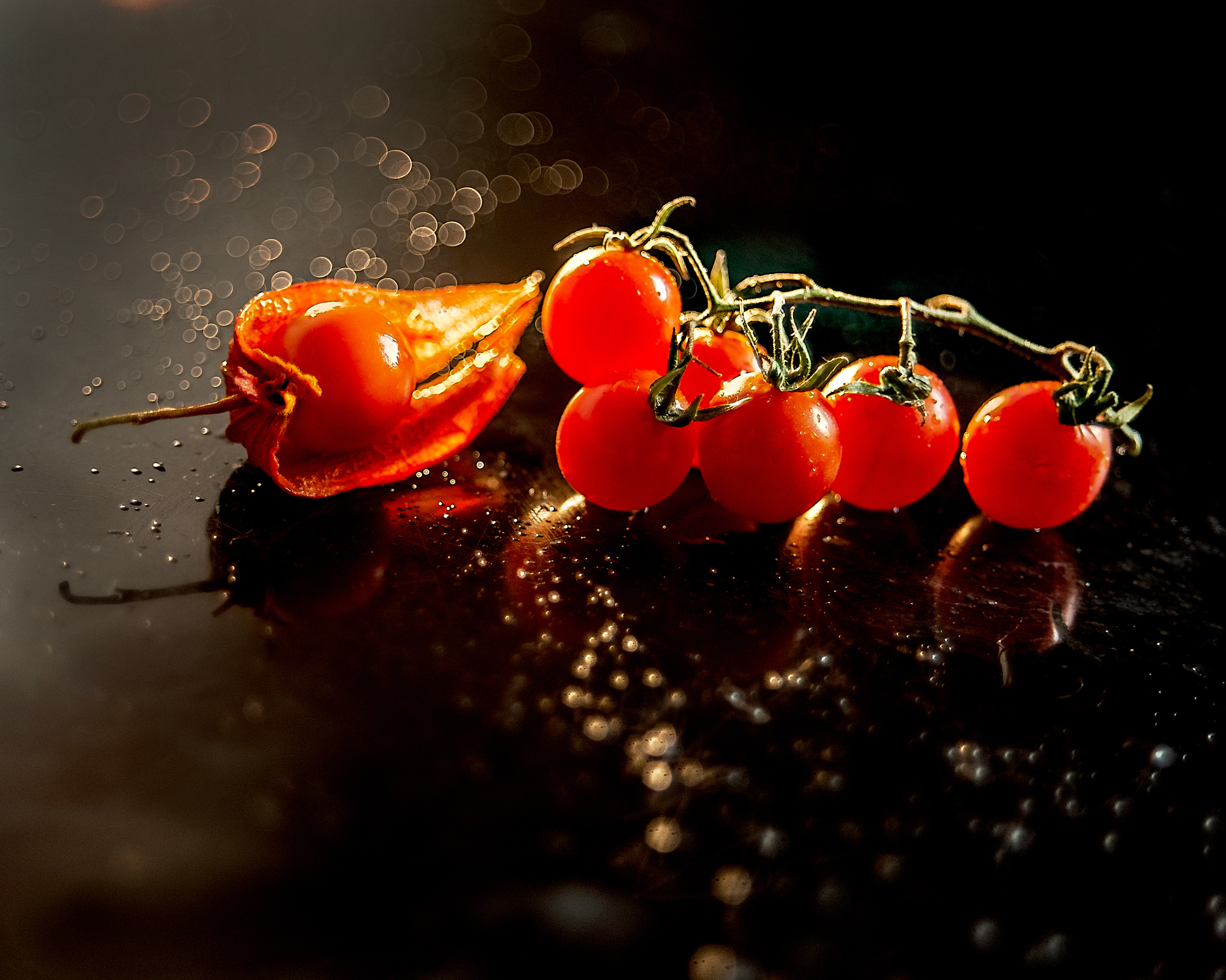 Макро мир фотограф Бокова Галина. Фотограф в Краснодаре и Бишкеке Галина Бокова