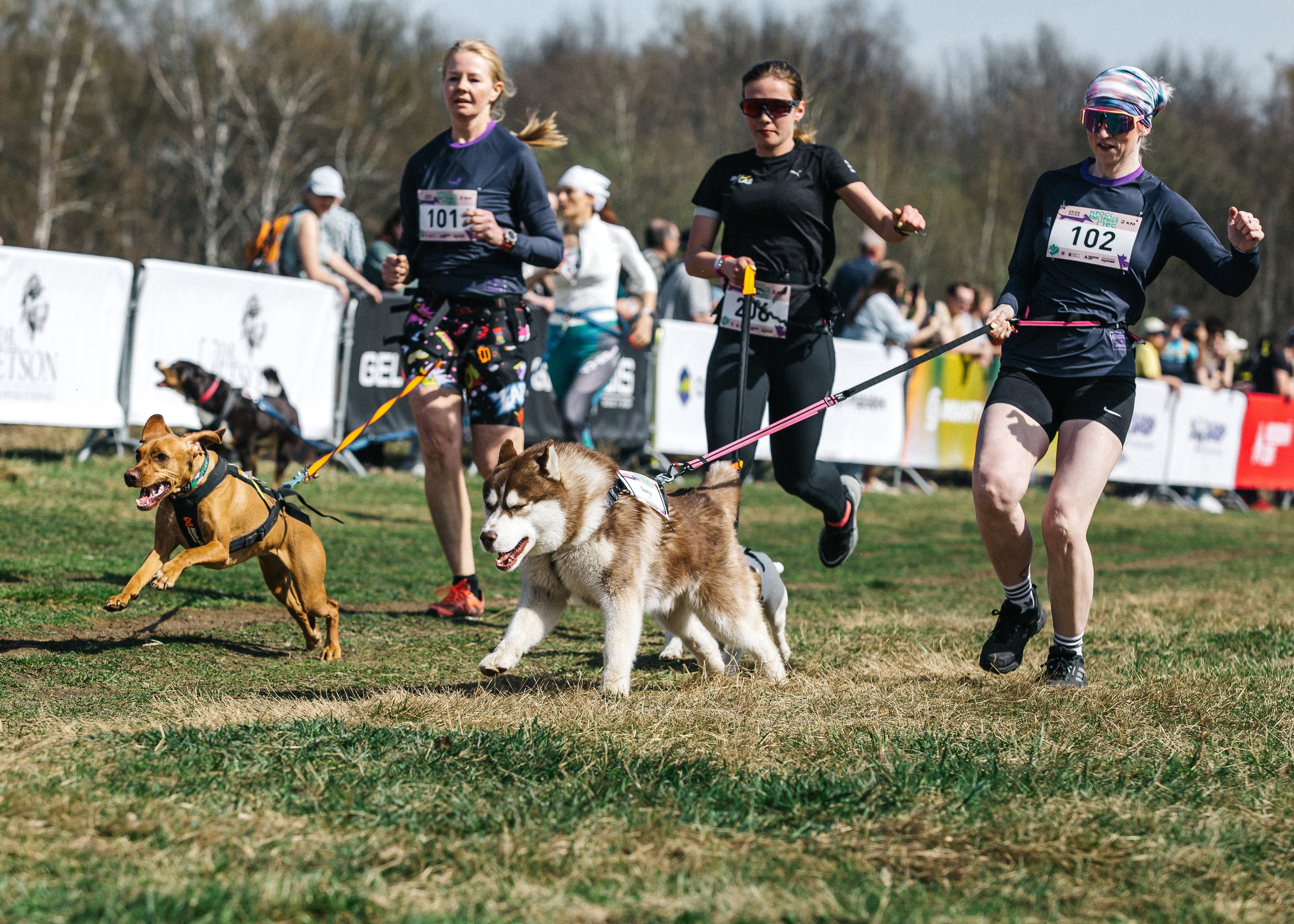 Кросс «Быстрый пёс» 2025. Репортажный фотограф в Москве