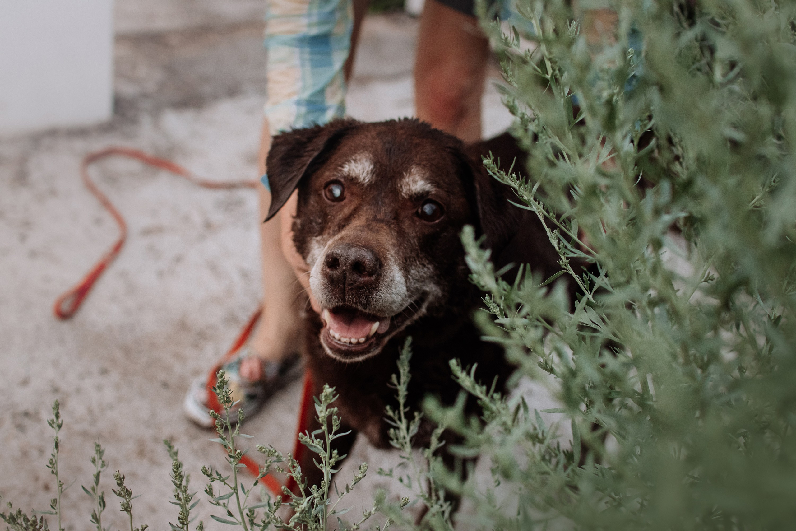 Юля и Свити. Фотограф Наталья Потапова