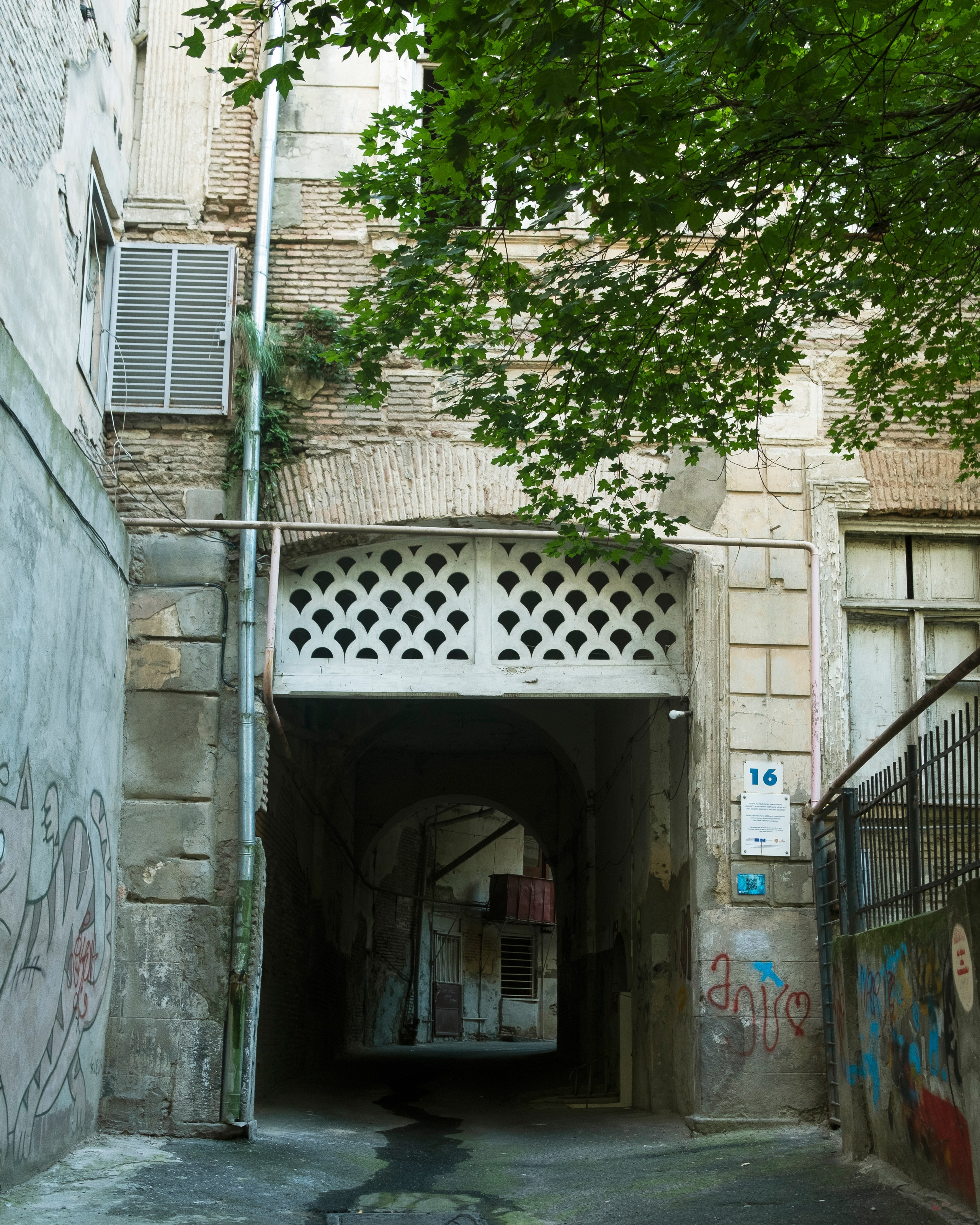 Тбилиси, 2024. Портретный фотограф в Москве Евгения Яковенко