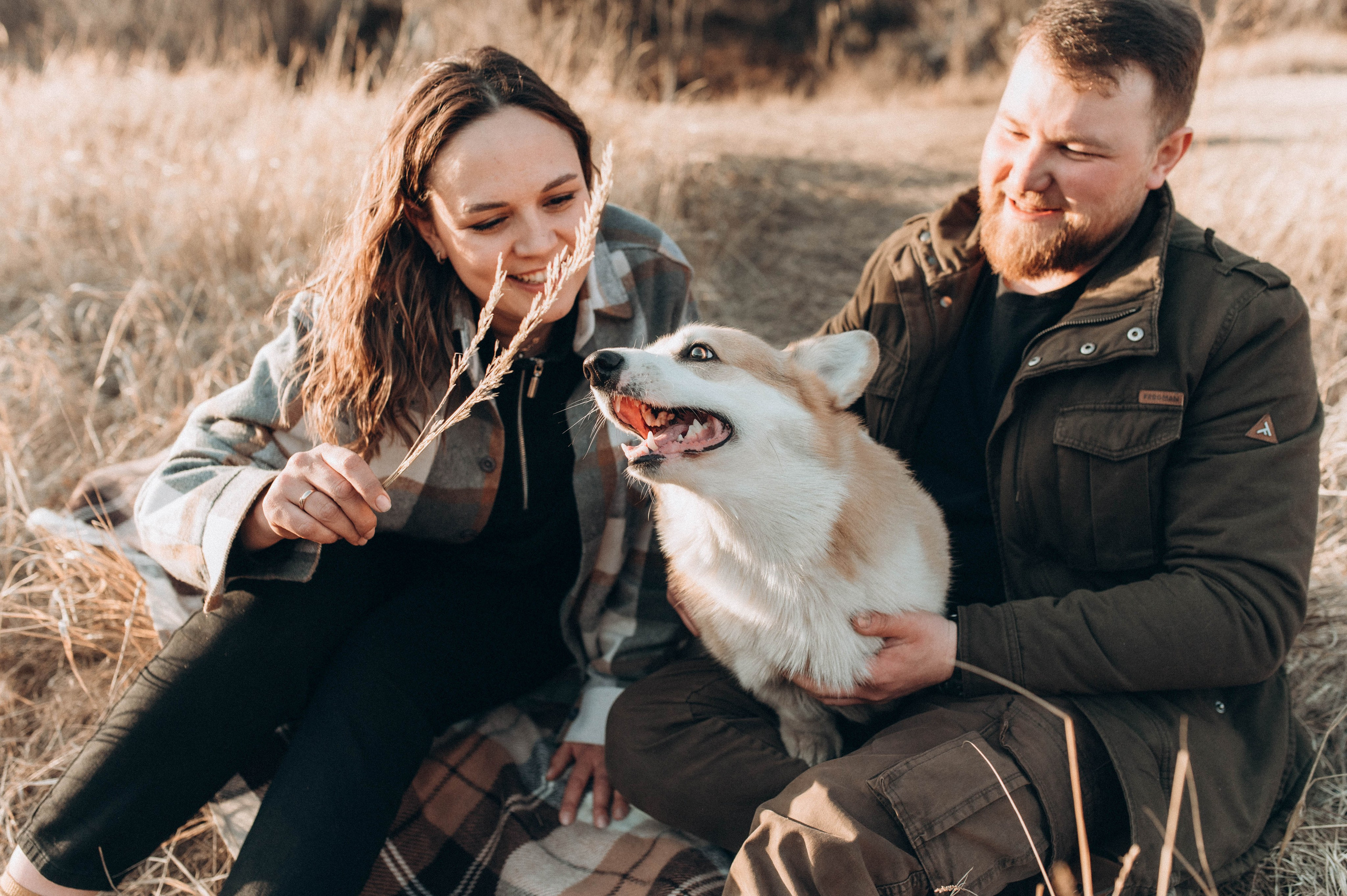 Лёша, Аня и Акс. Свадебный и семейный фотограф в Чите Юлия Оранская