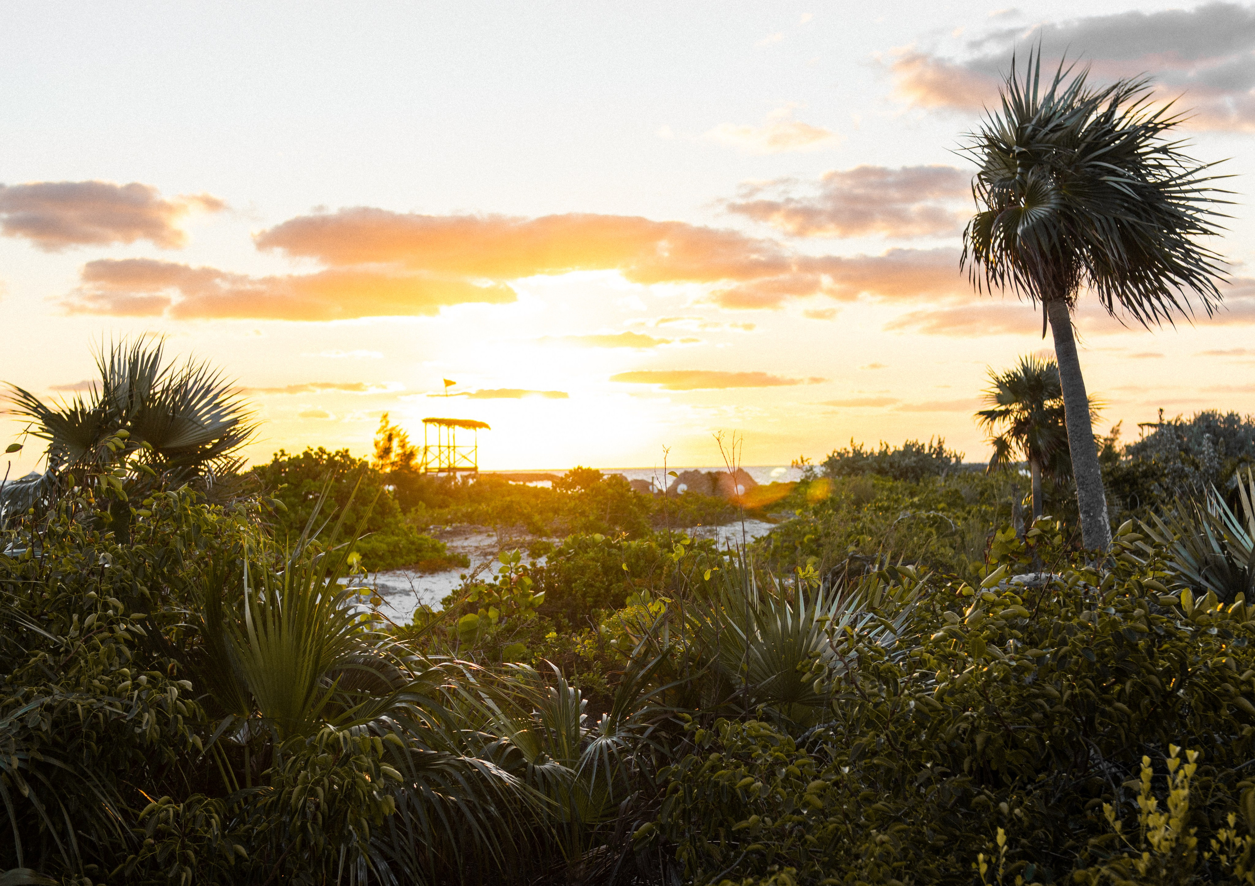 Фотограф в Анталии, фотосессии в Анталии, профессиональный фотограф Анталия, свадебный фотограф Анталия, портретная фотография Анталия, фотограф на мероприятие Анталия, семейный фотограф Анталия, фотограф на отпуск Анталия, фотография недвижимости Анталия, аэрофотосъёмка Анталия, пляжная фотосессия Анталия, фотограф на помолвку Анталия, фотография беременности Анталия, фотограф для новорождённых Анталия, фотограф для путешествий Анталия, коммерческая фотография Анталия, фотограф для деловых портретов Анталия, фэшн фотограф Анталия, портреты выпускников Анталия, лайфстайл фотография Анталия
