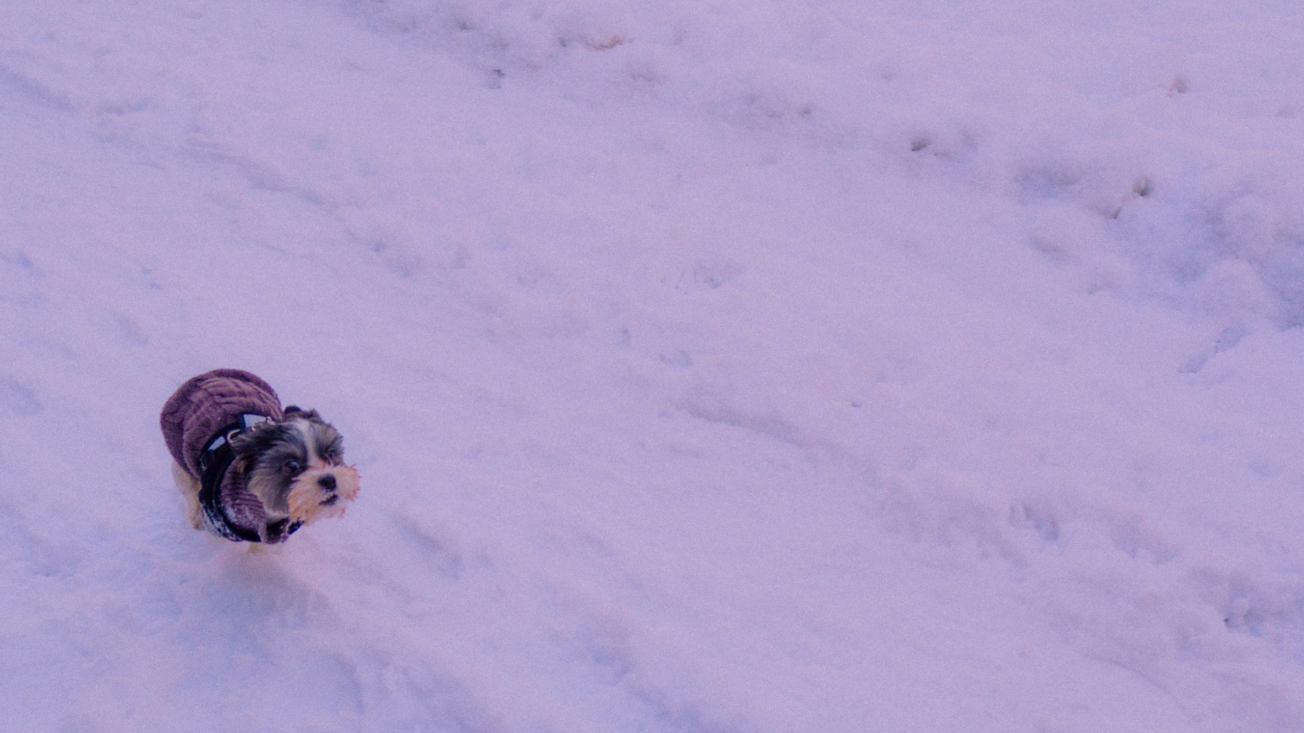 Зимняя сказка. Фёдор Малюгин. Ваш бади в визуале