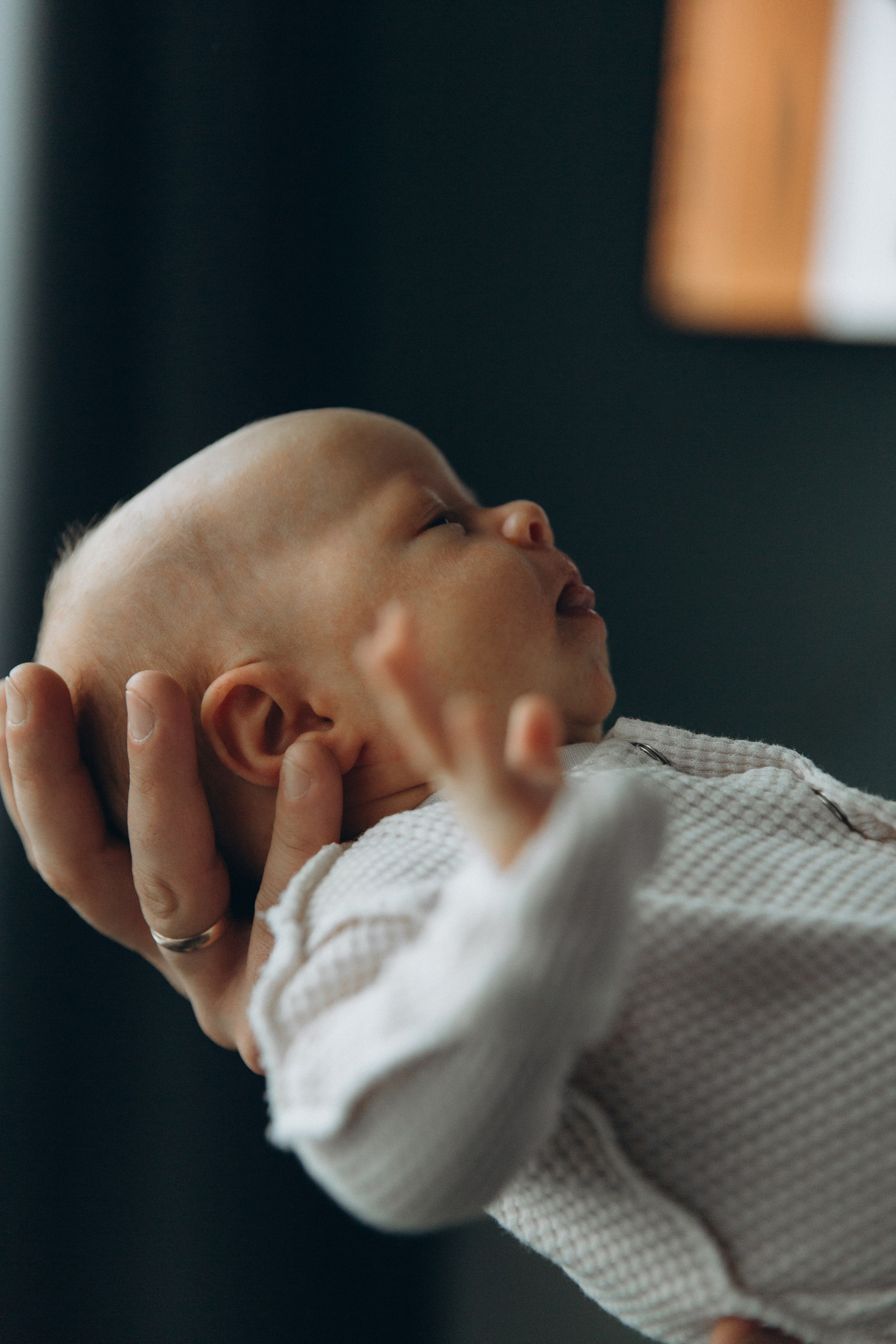 Home M & M. Семейный и детский фотограф Башкатова Дарья Старый Оскол