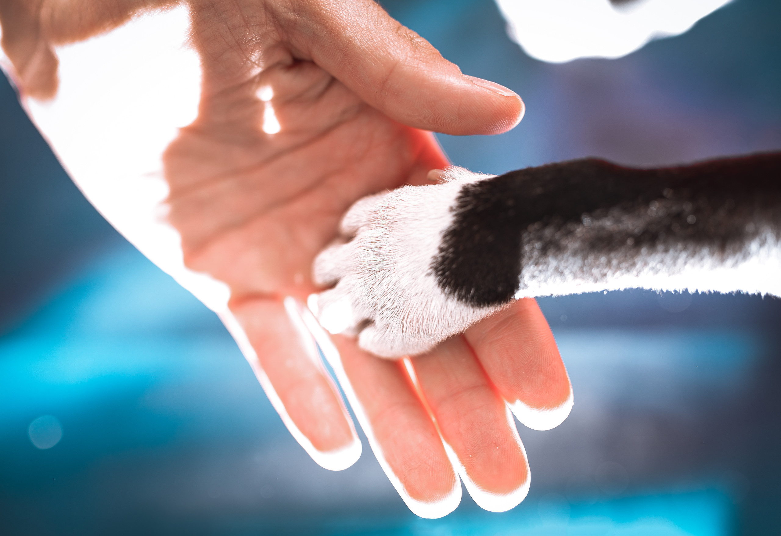 Сергей Гаврилов. Фотограф и Видеограф в Томске