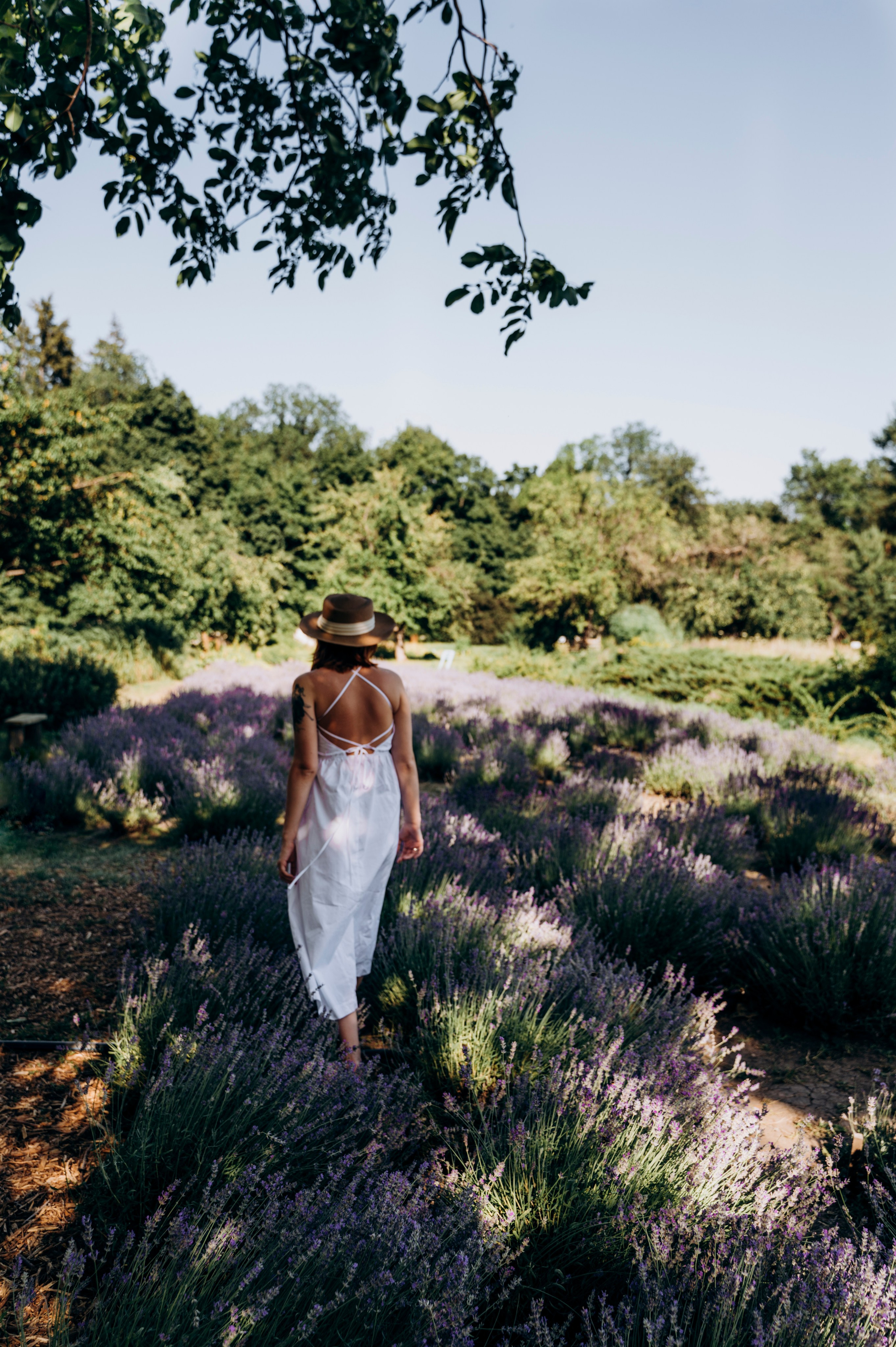 Аромат момента. Семейный и детский фотограф Анастасия Монченко