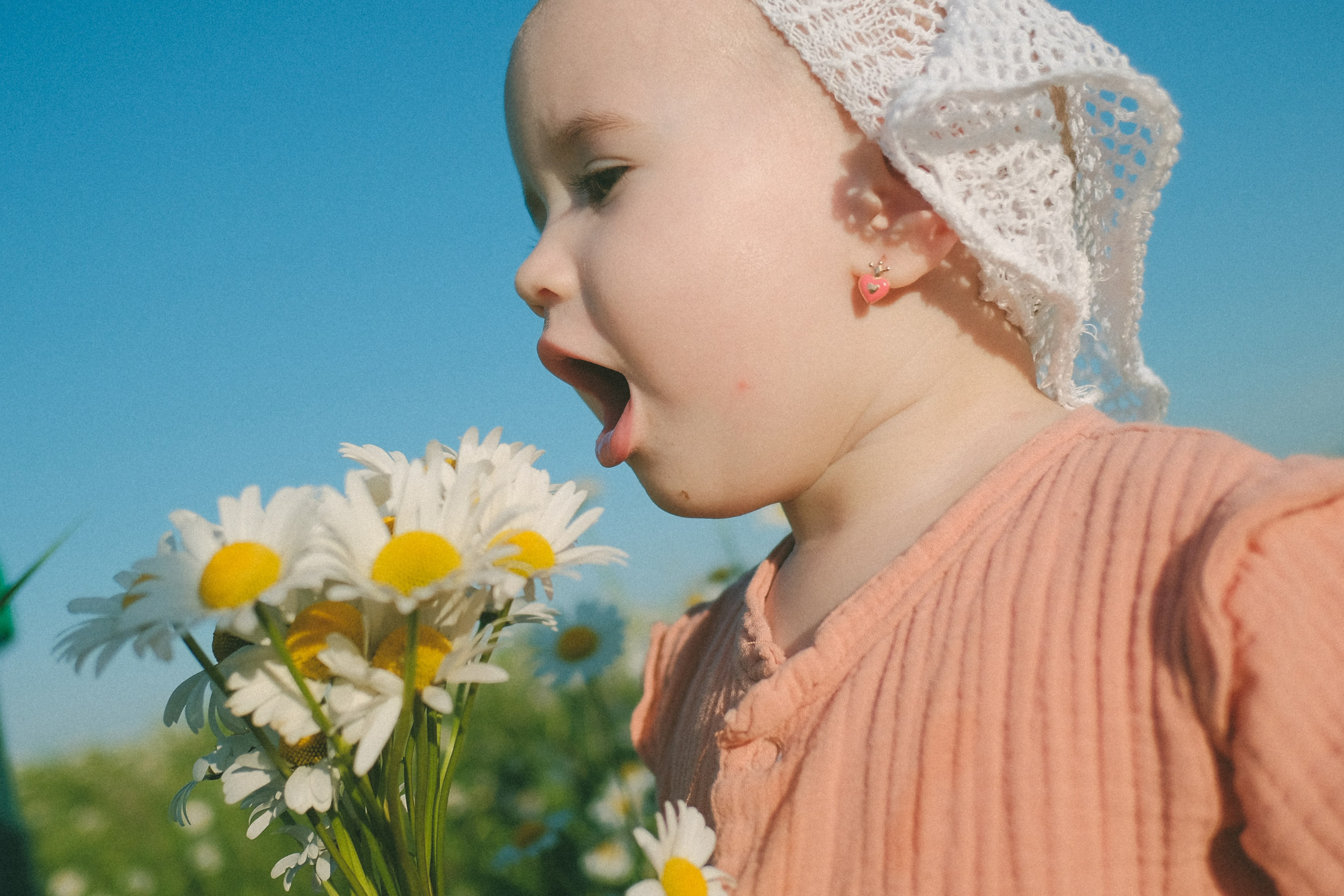 Ждановы в ромашках. Женский и семейный фотограф в Краснодаре и крае Таня Мустафина