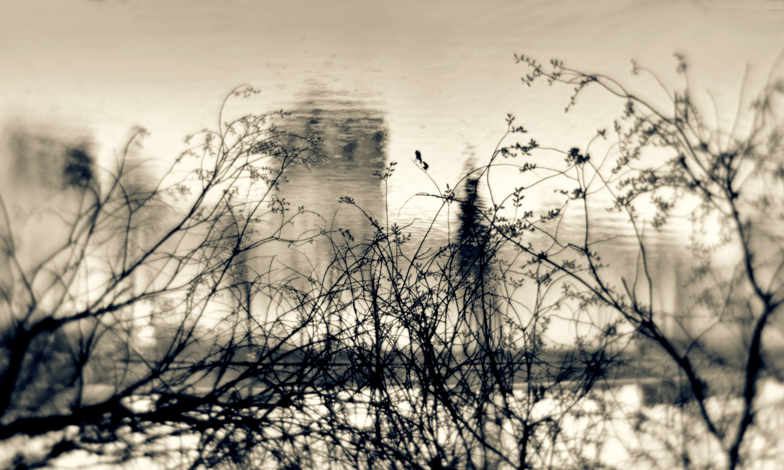 Зыбь. Фотограф в Москве, в Самаре Инна Мамонова