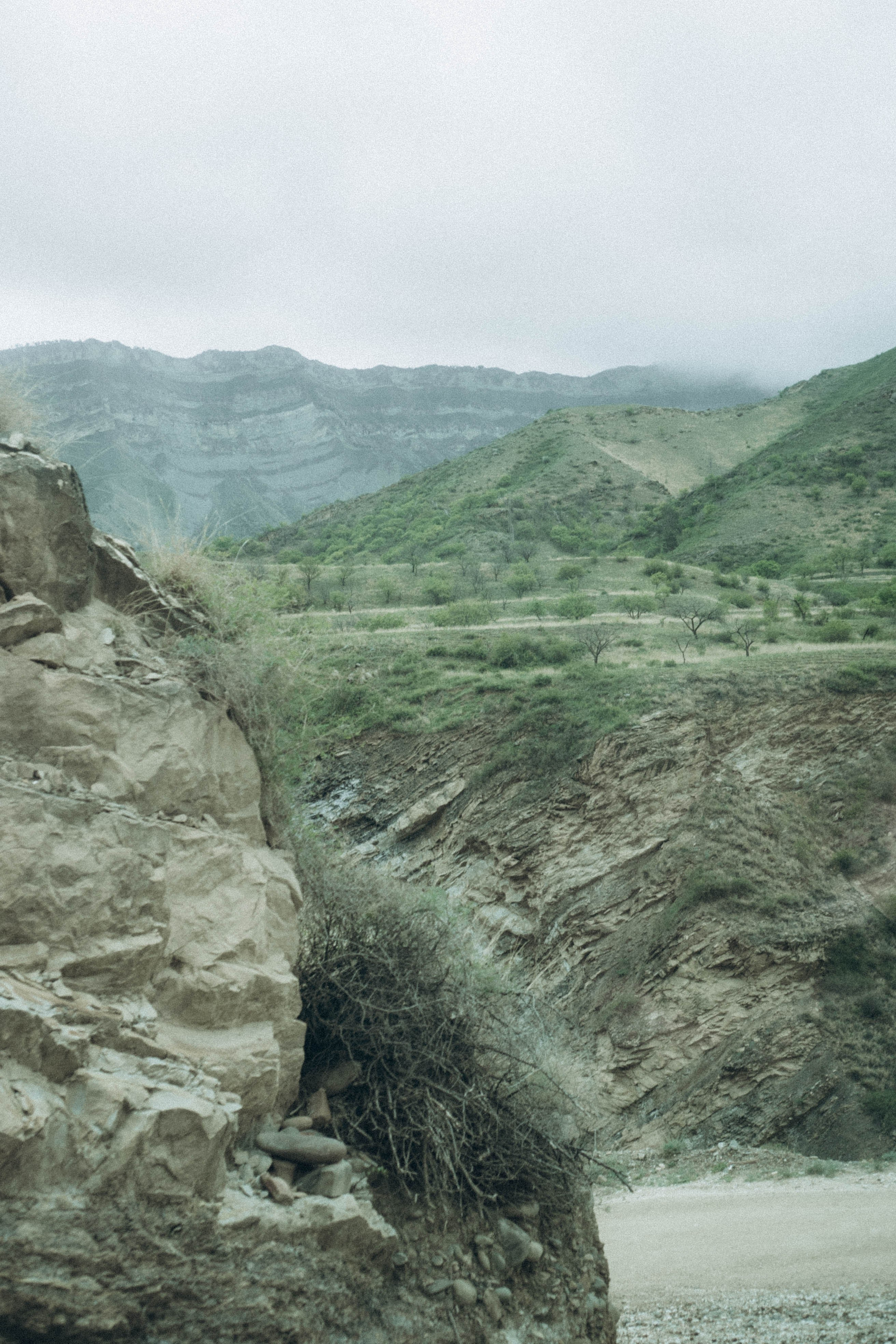 Кавказ. Профессиональный фотограф, Санкт-Петербург — Виктория Богомолова