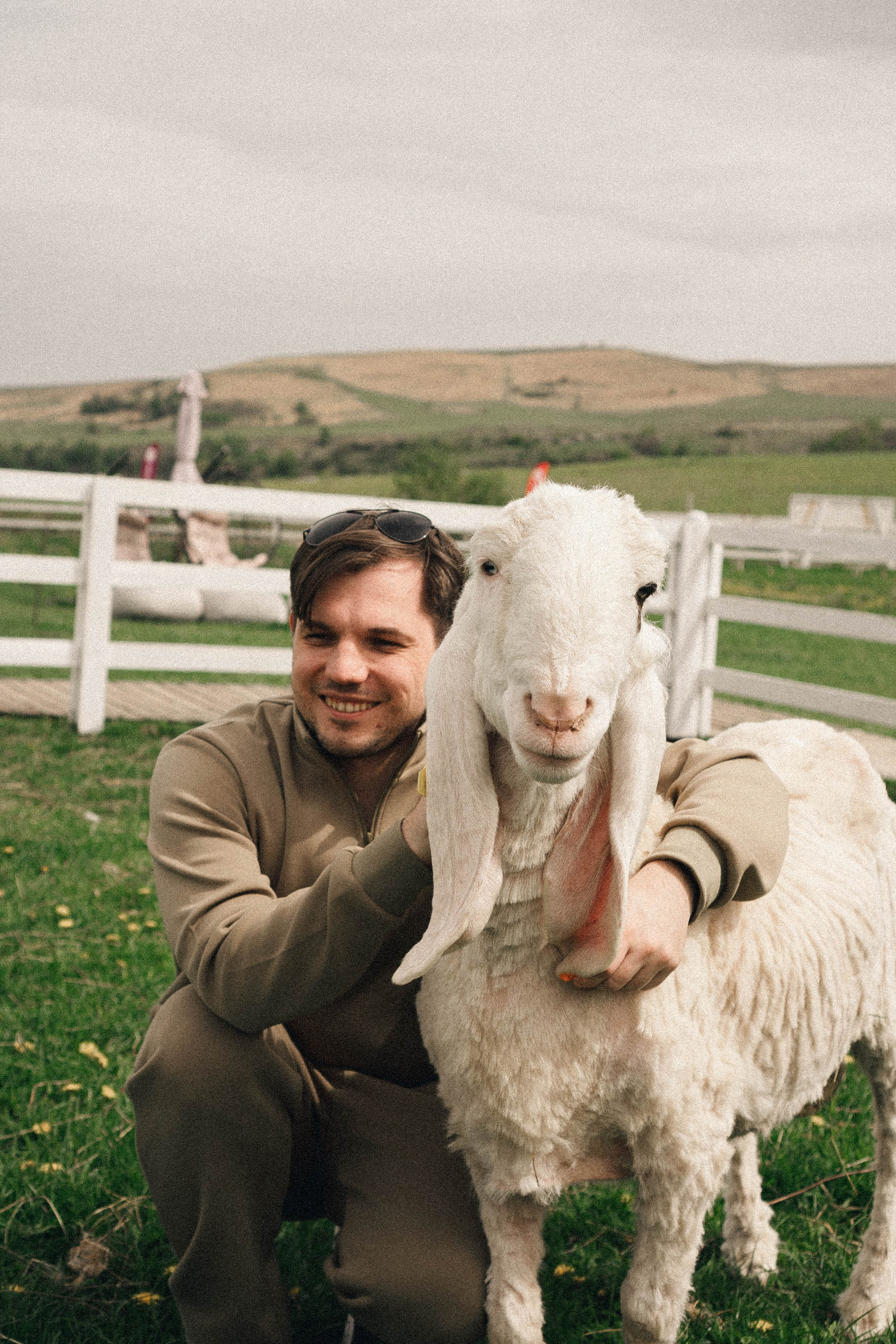 Ферма Альпак. Профессиональный фотограф, Санкт-Петербург — Виктория Богомолова