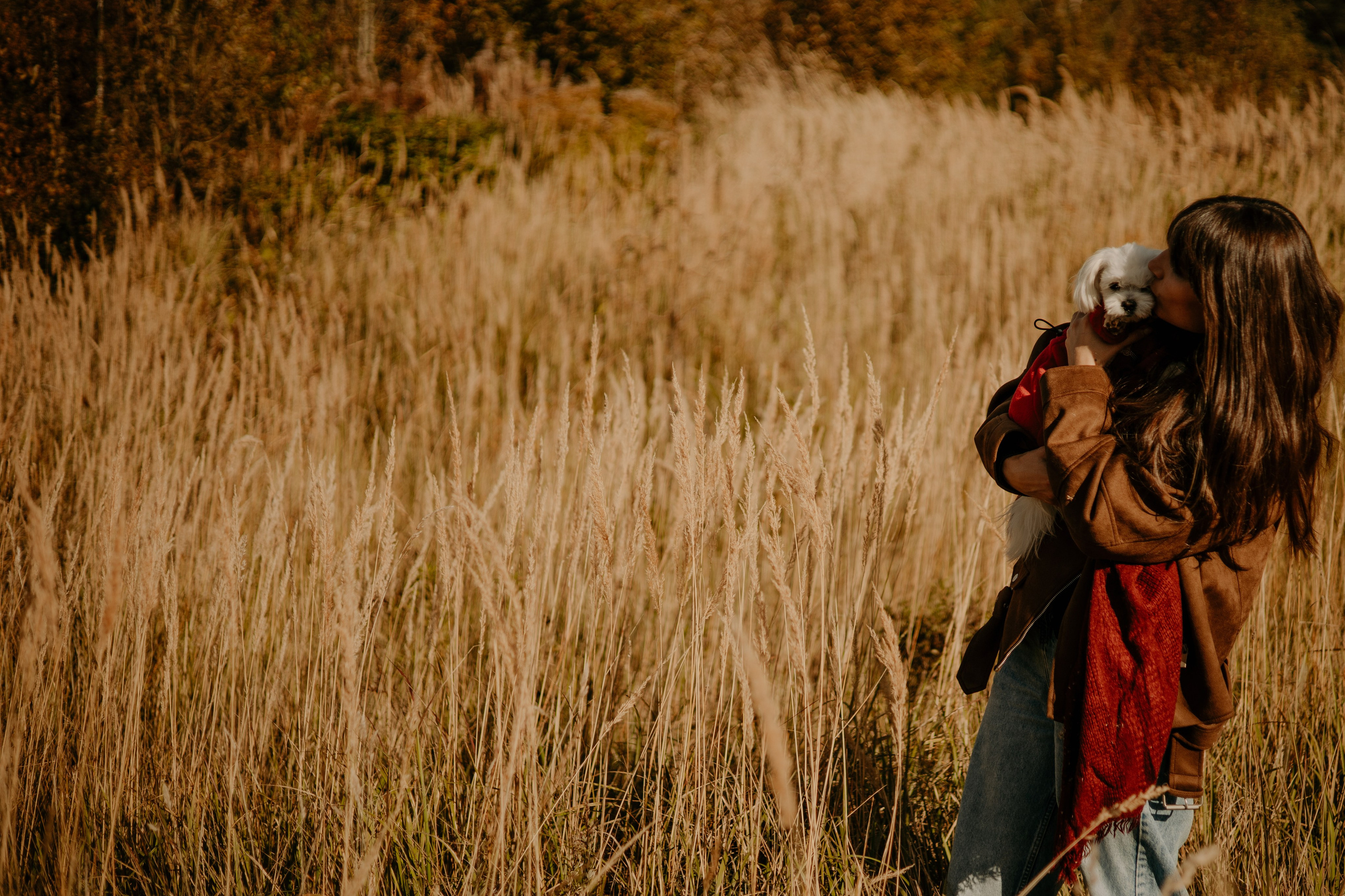 Любовь & Белла. Фотограф — анималист •love-story•|Санкт-Петербург