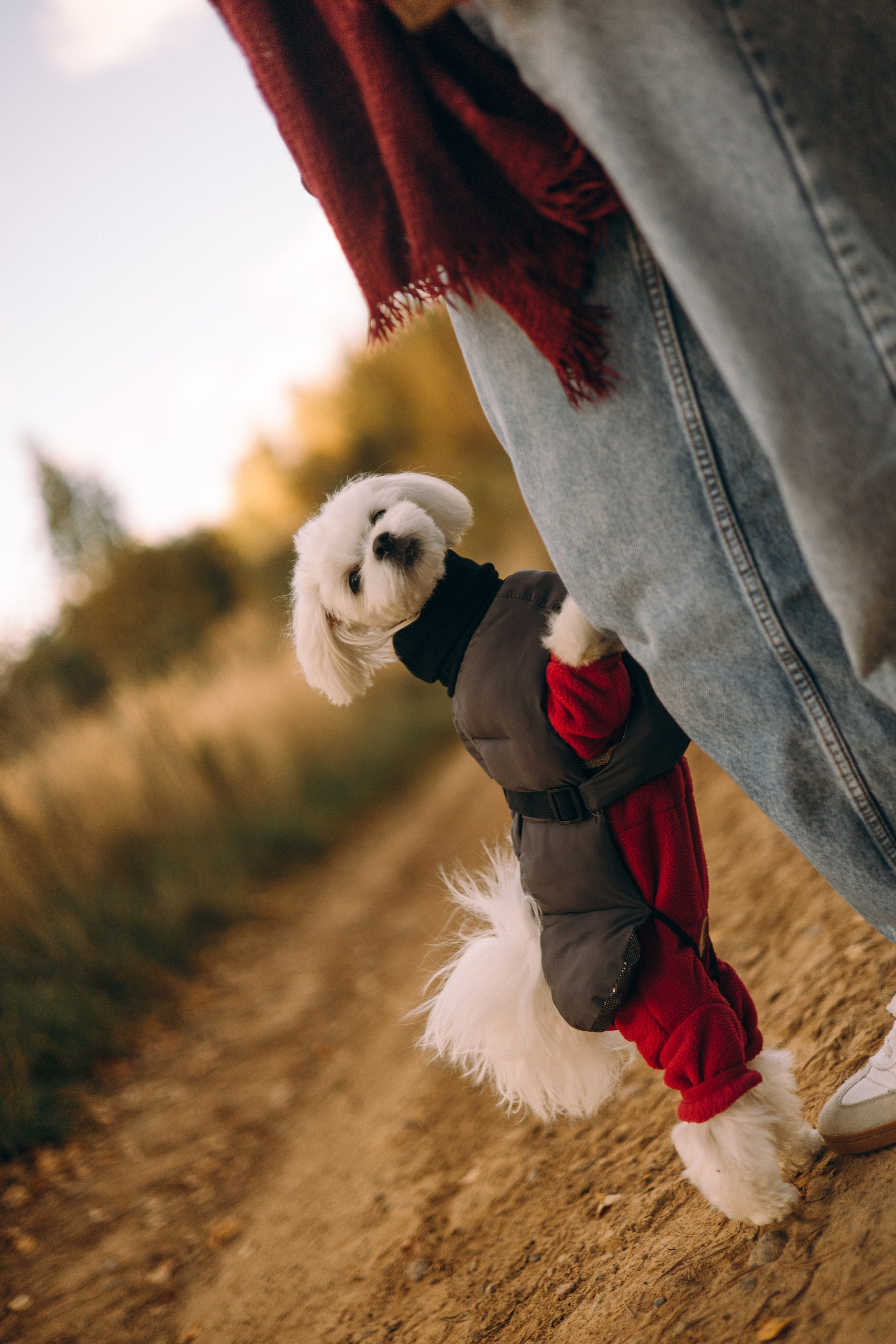 Любовь и Белла. Фотограф — анималист •love-story•|Санкт-Петербург