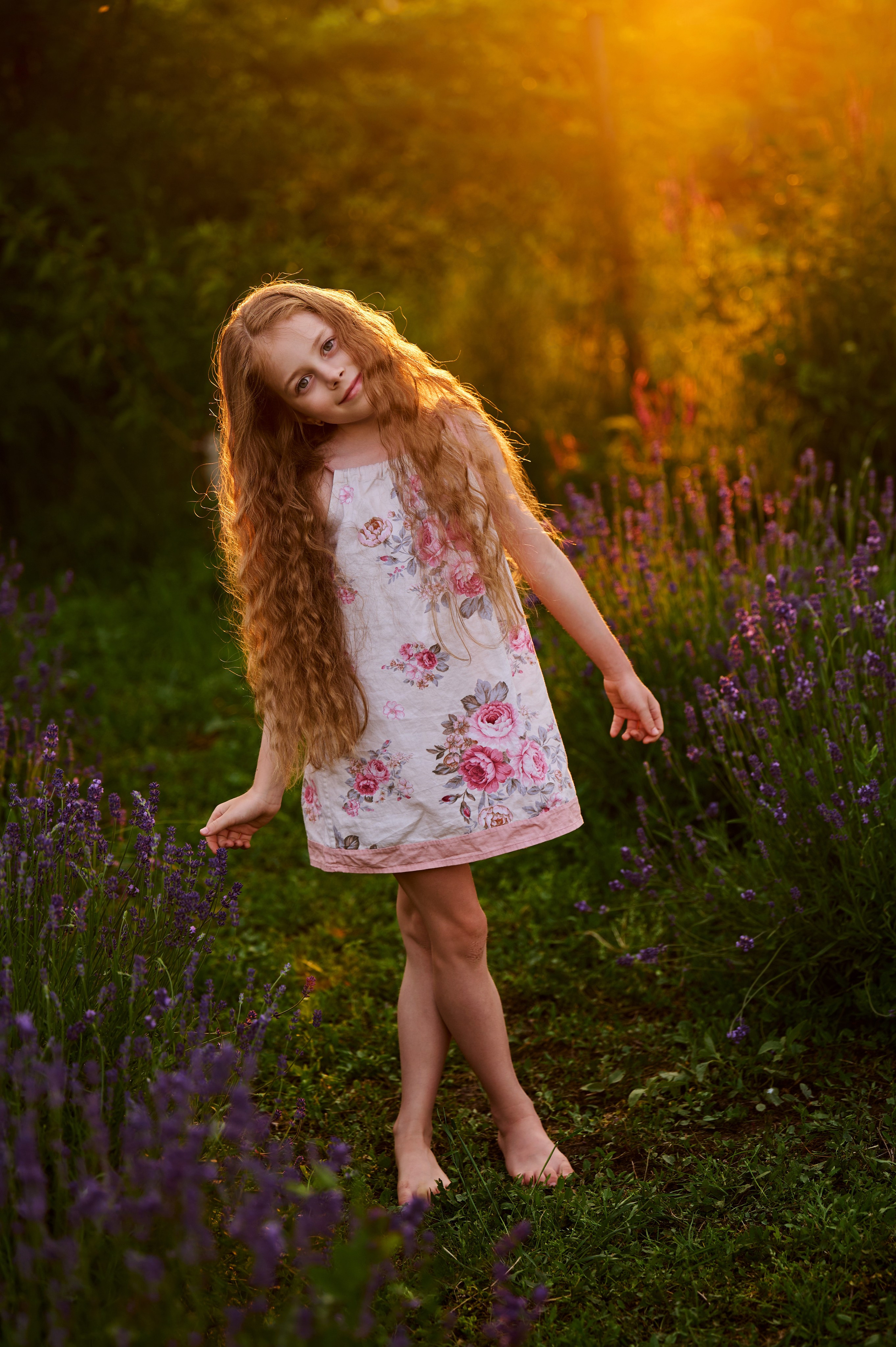 Лаванда на закате. Свадебный, семейный фотограф в Краснодаре