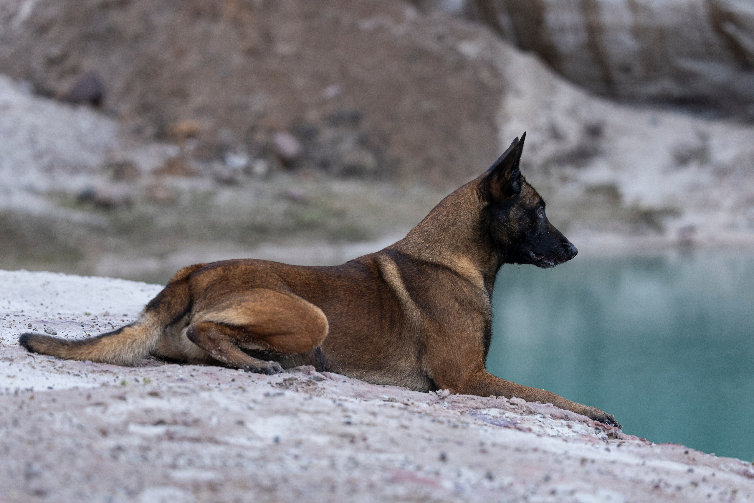 Лужские Мальдивы. Фотограф-анималист Анна Маринич