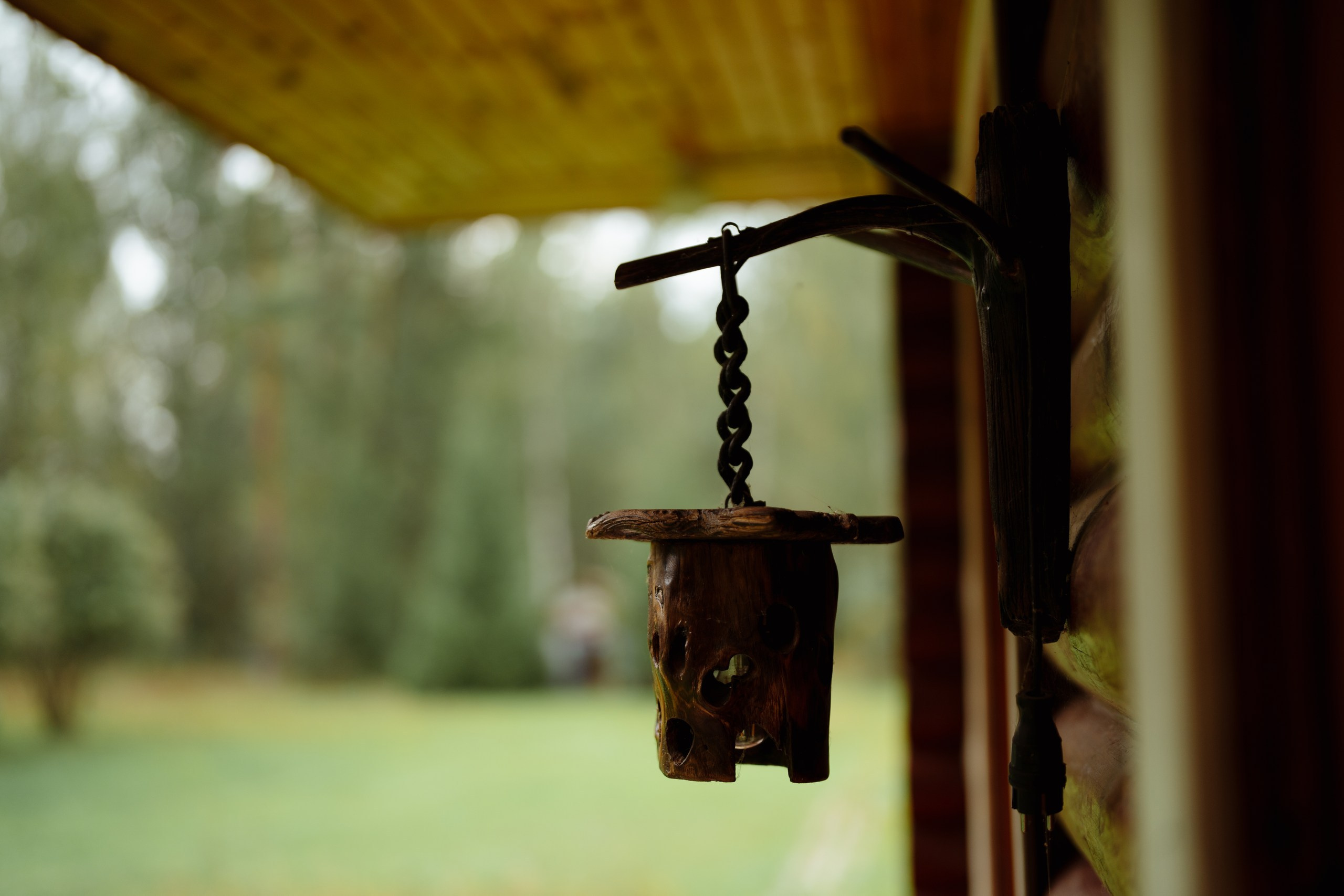 Сюжет № 11|Виктория Алексеенко