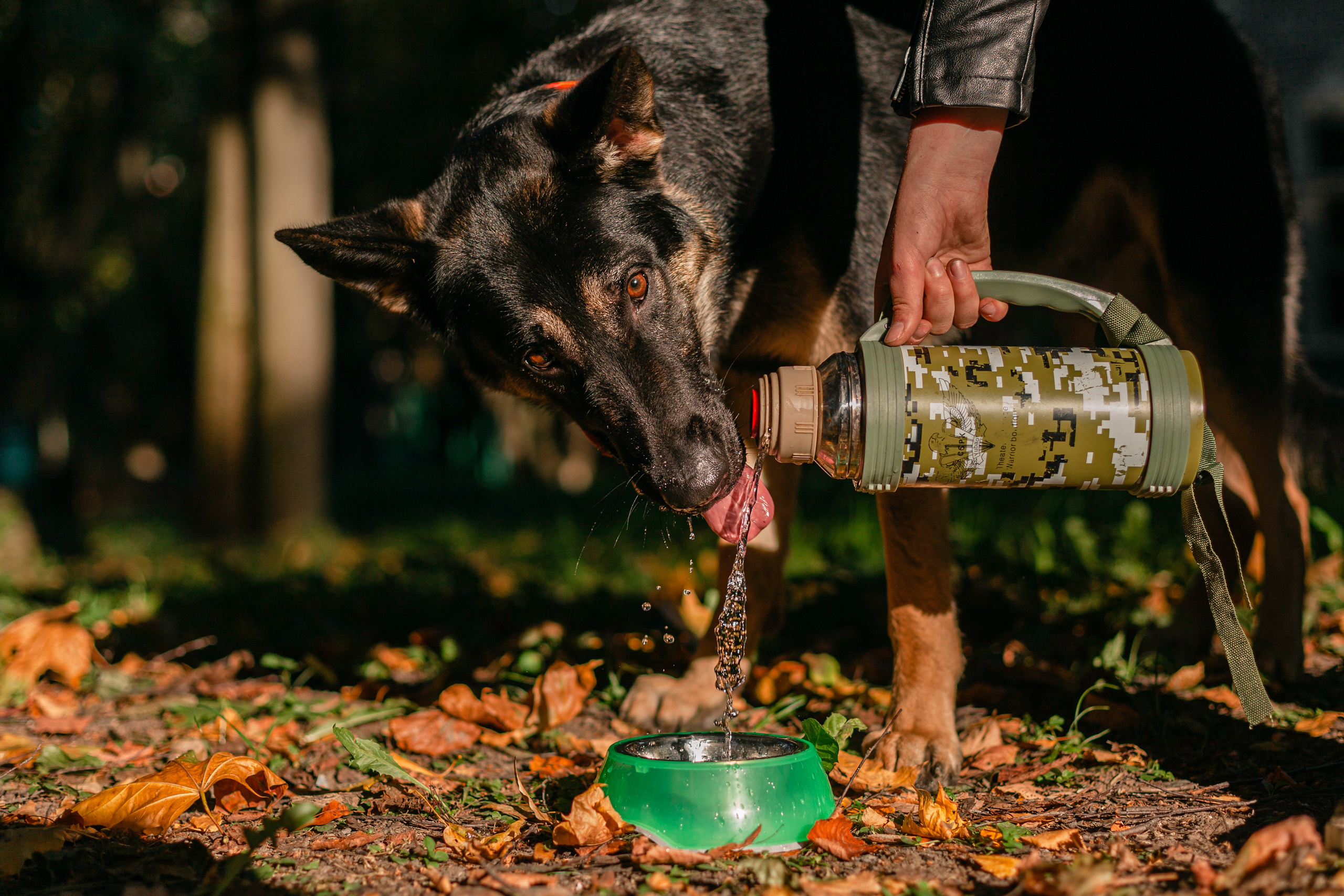 Илай. Фотограф-анималист Татьяна Степанова