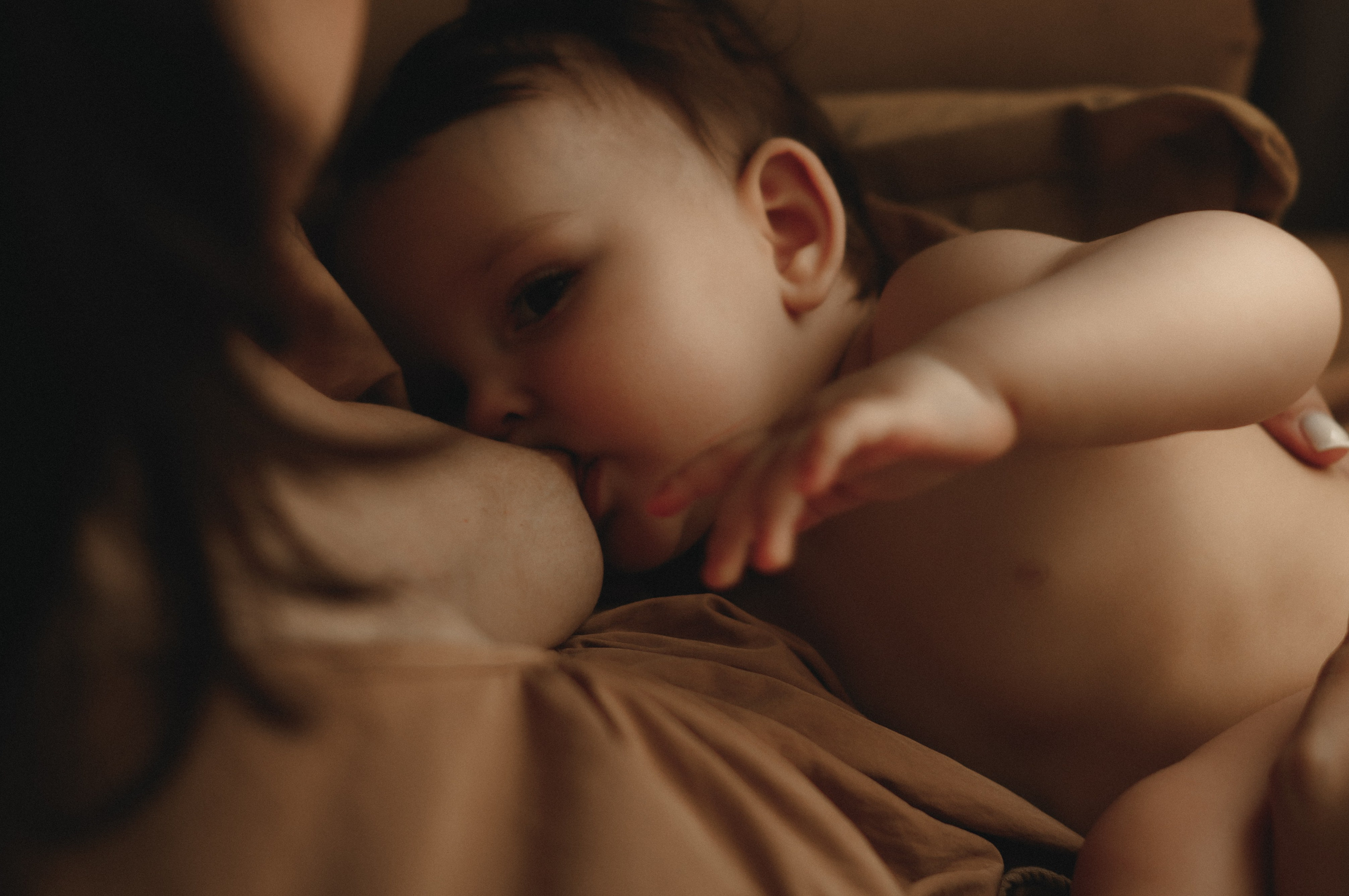 Маленькая София. Семейный фотограф в г. Ставрополь, Сорокина Мария