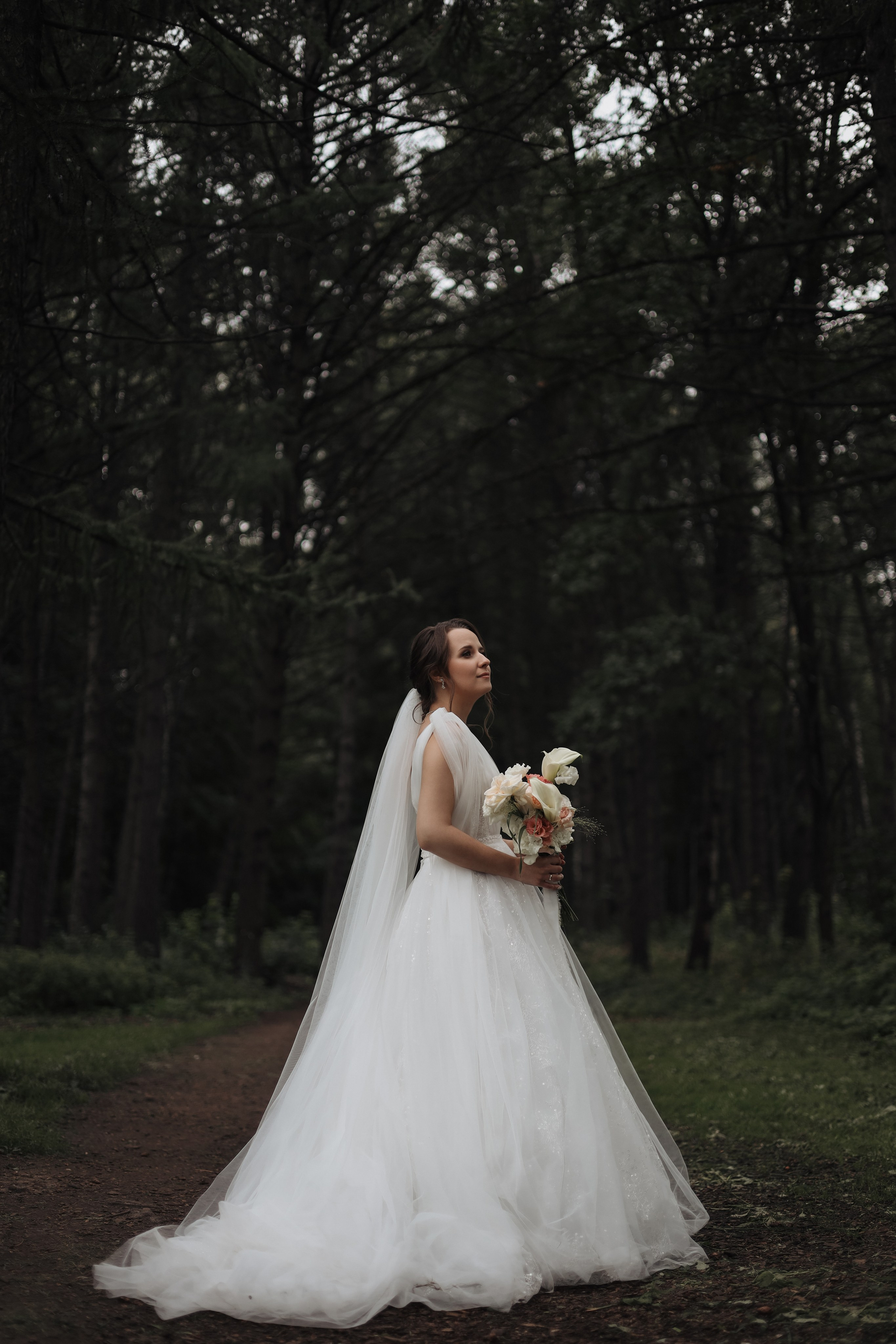 Алина и Михаил. Диана Чечель. Свадебный и портретный фотограф в Москве