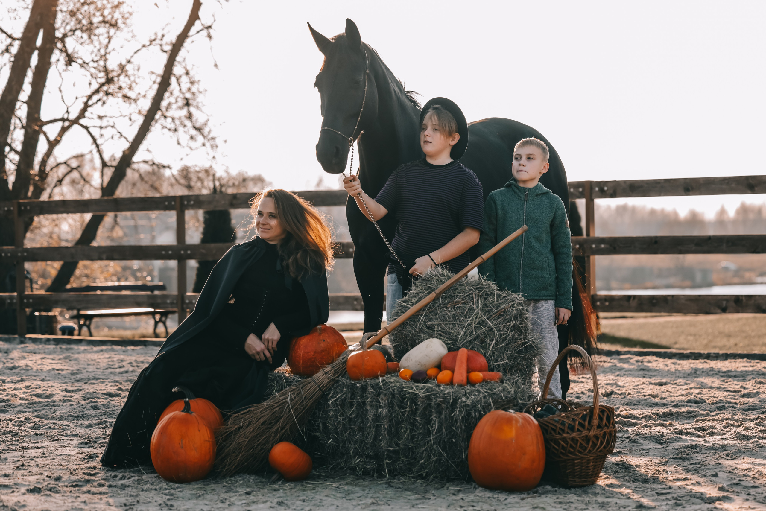 КСК Ждановское фотосессия. Фотосессии с лошадьми