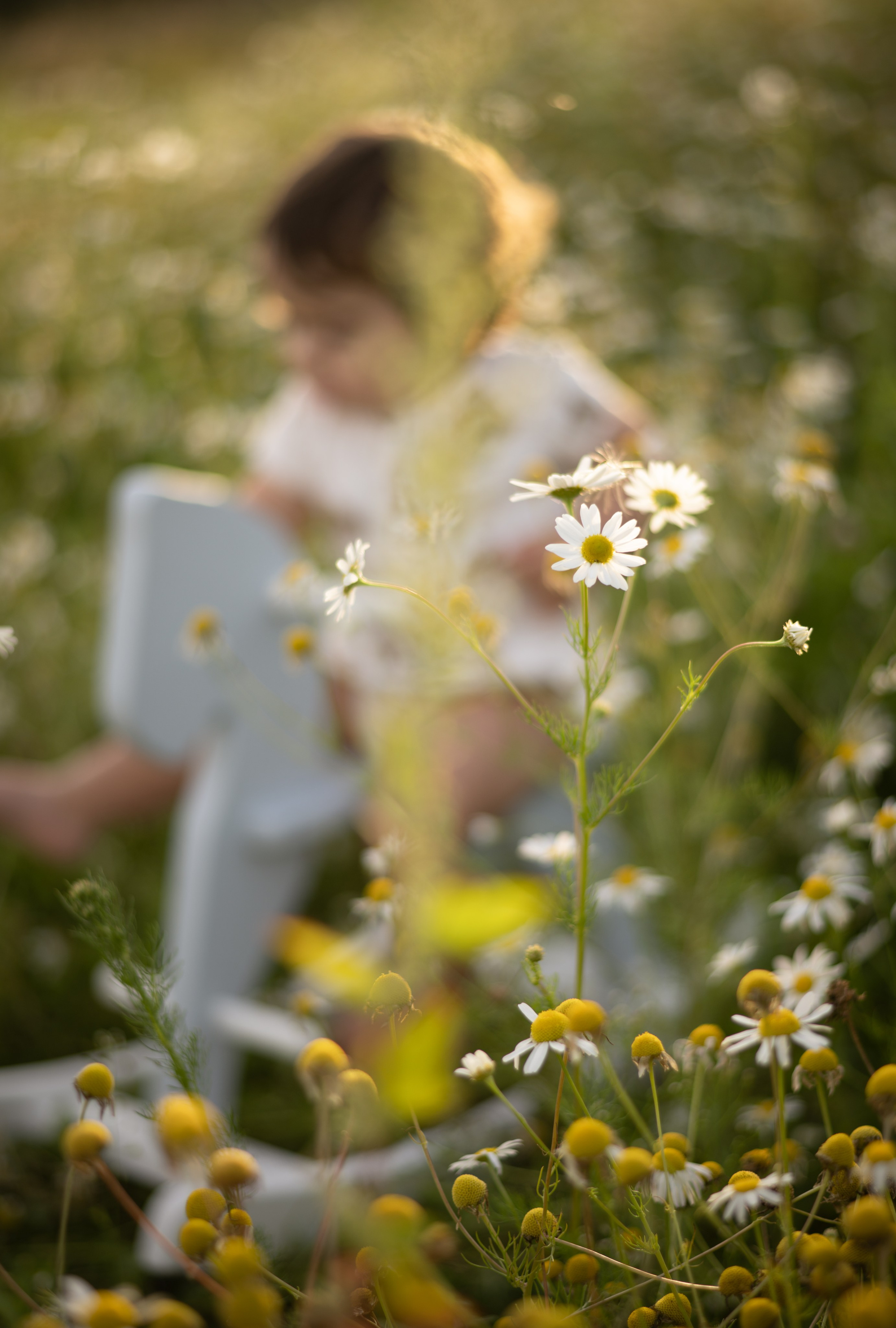 Илона и Леон. Детский и семейный фотограф в Санкт-Петербурге и Ярославле Павлова Гал