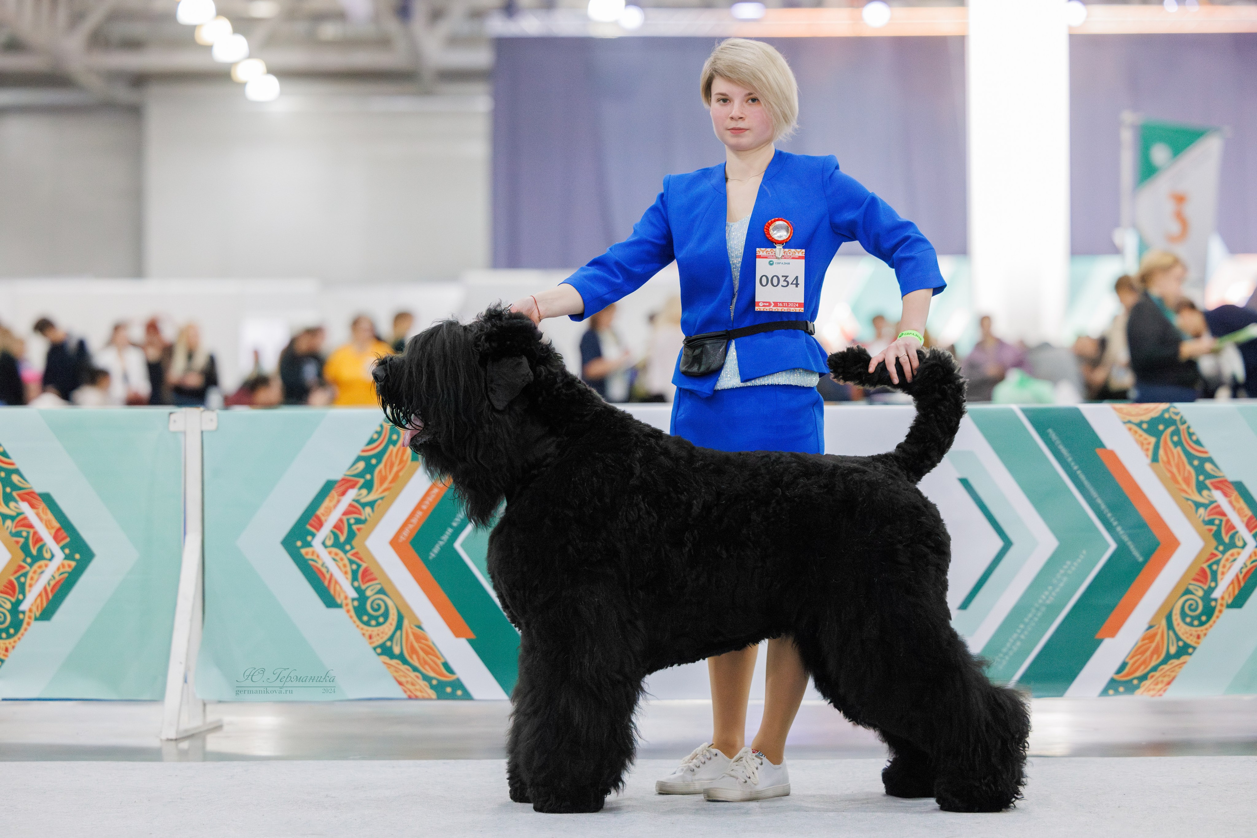 Евразия 16-17.11.2024