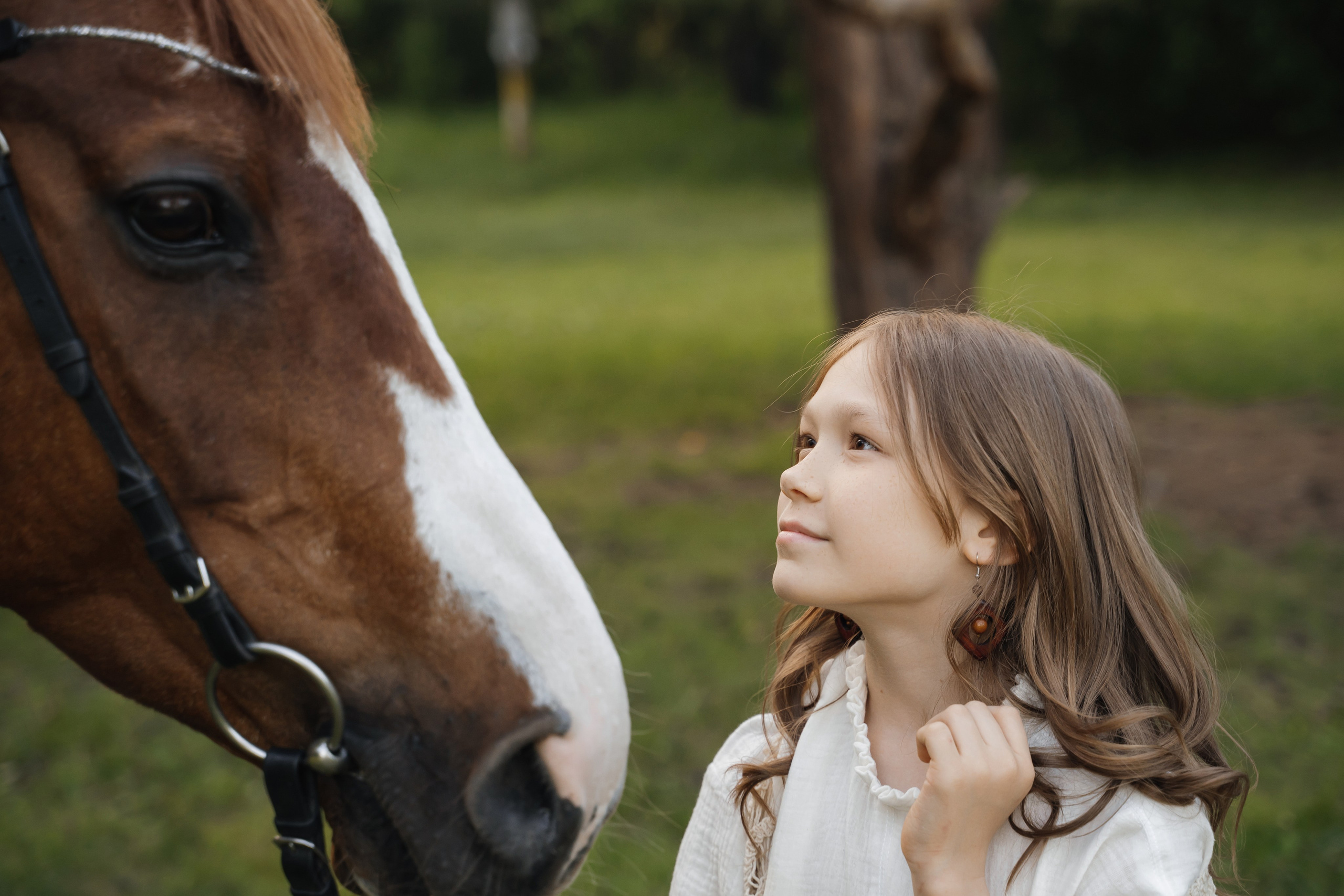 Семейная история с лошадьми. Главная
