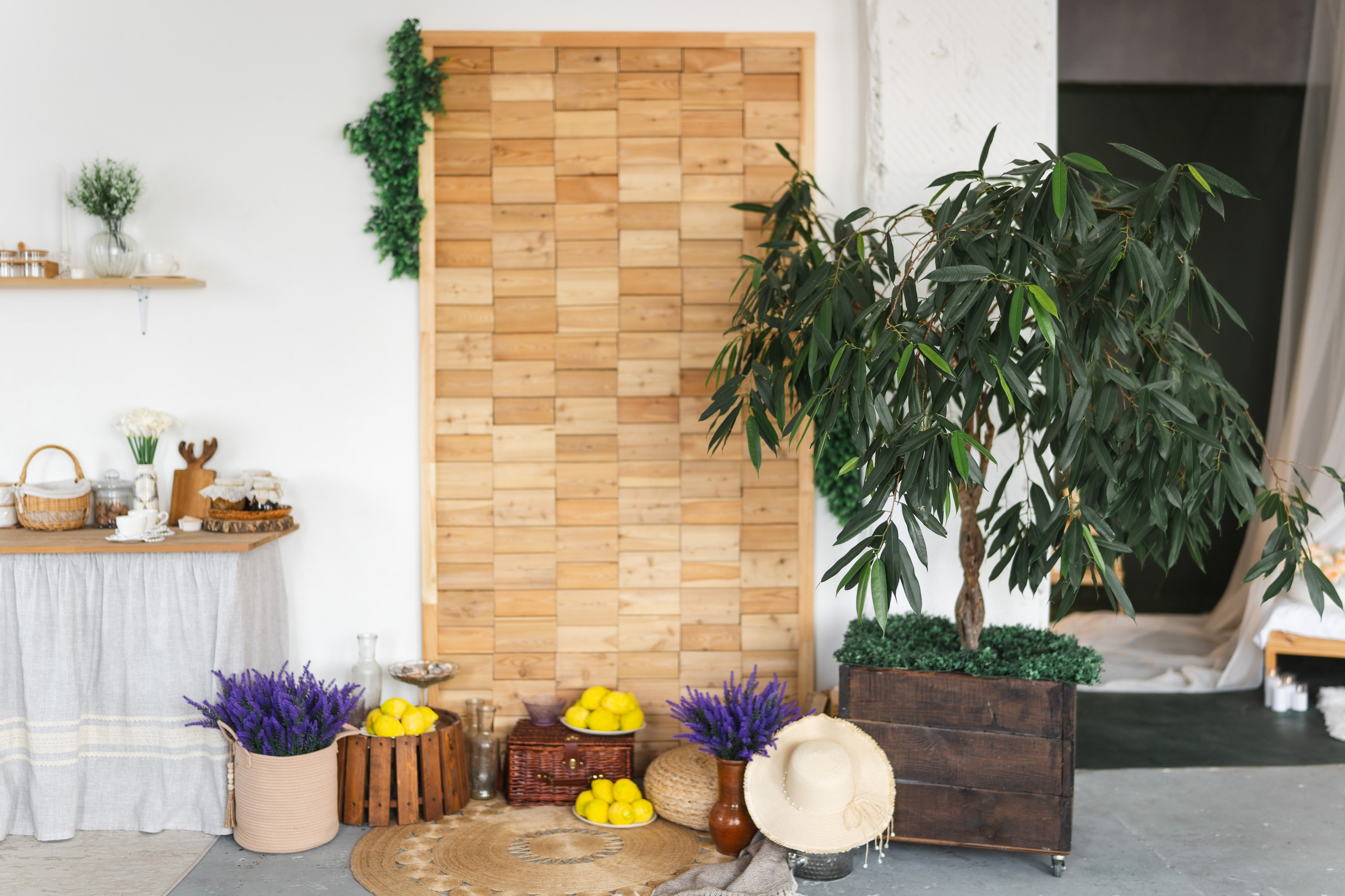 Зал Life фотостудия Импульс. Фотостудия в Саратове. Фотограф в Саратове