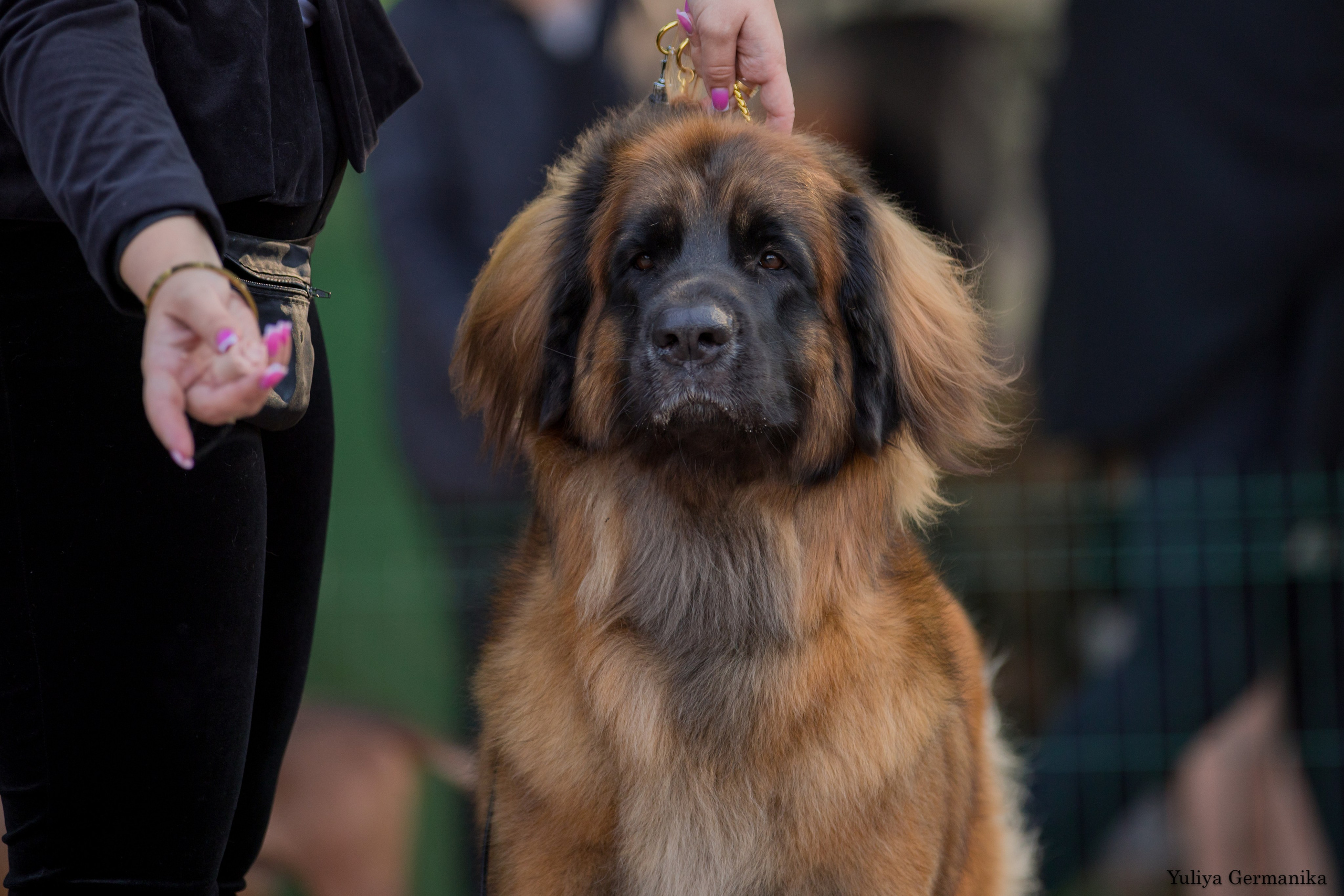 Бишкек 29.09-01.10.2023. Фотограф-анималист Юлия Германика