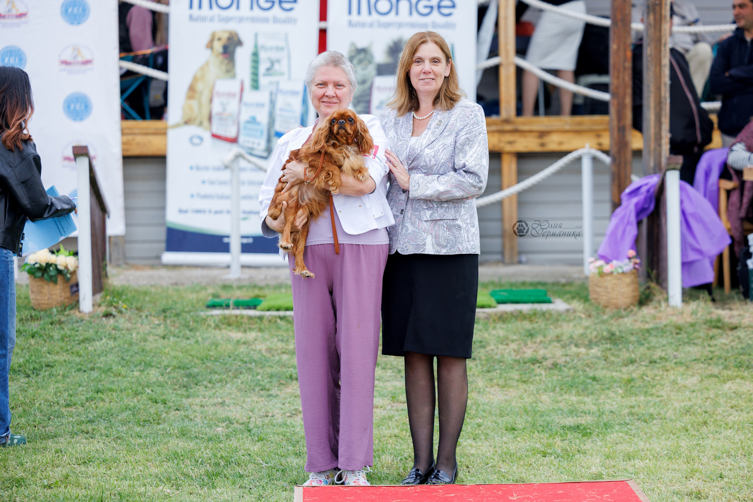 Армения,Ереван 3хCACIB 15-17.10.2024. Фотограф-анималист Юлия Германика