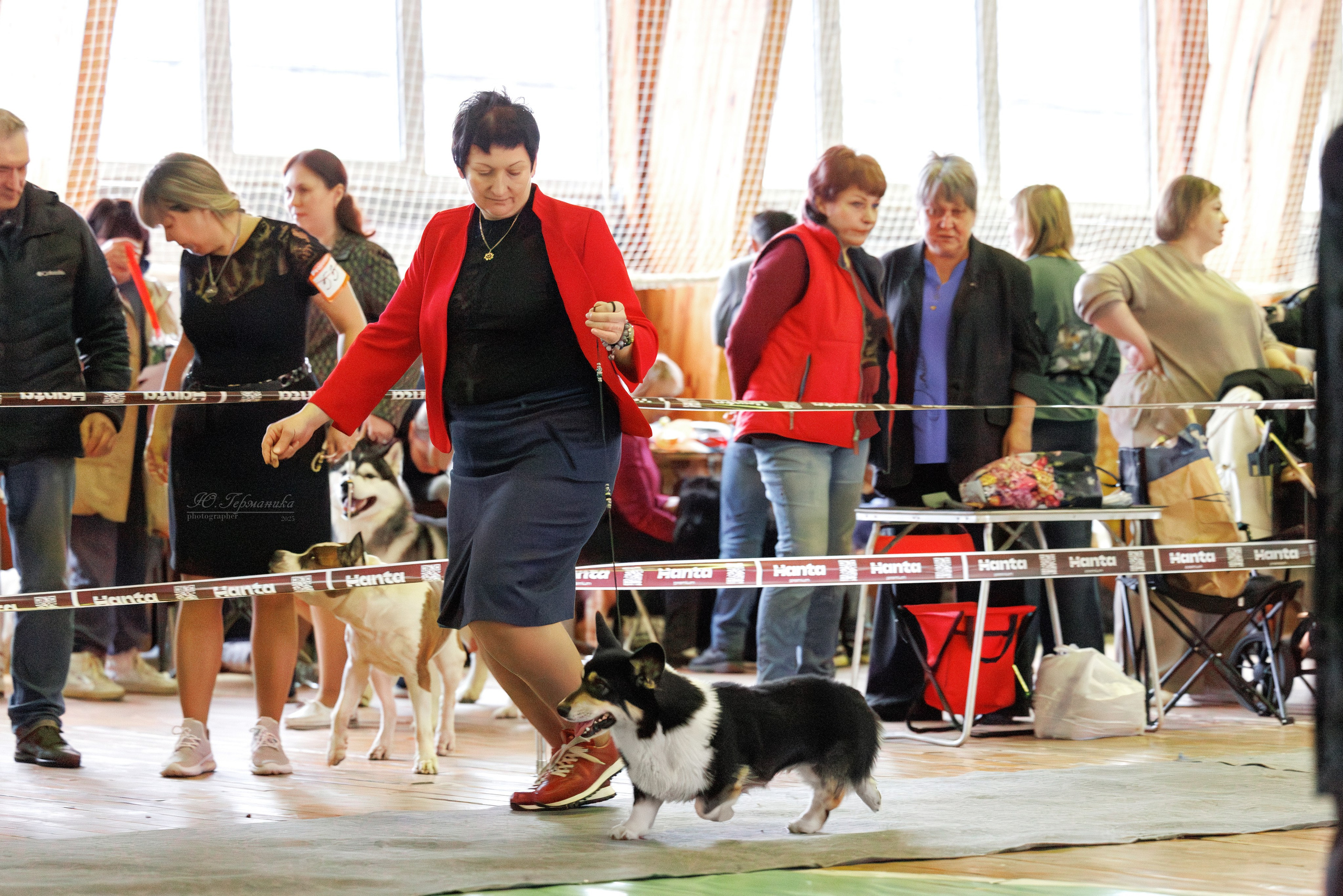 Тверь 21.12.2025. Фотограф-анималист Юлия Германика