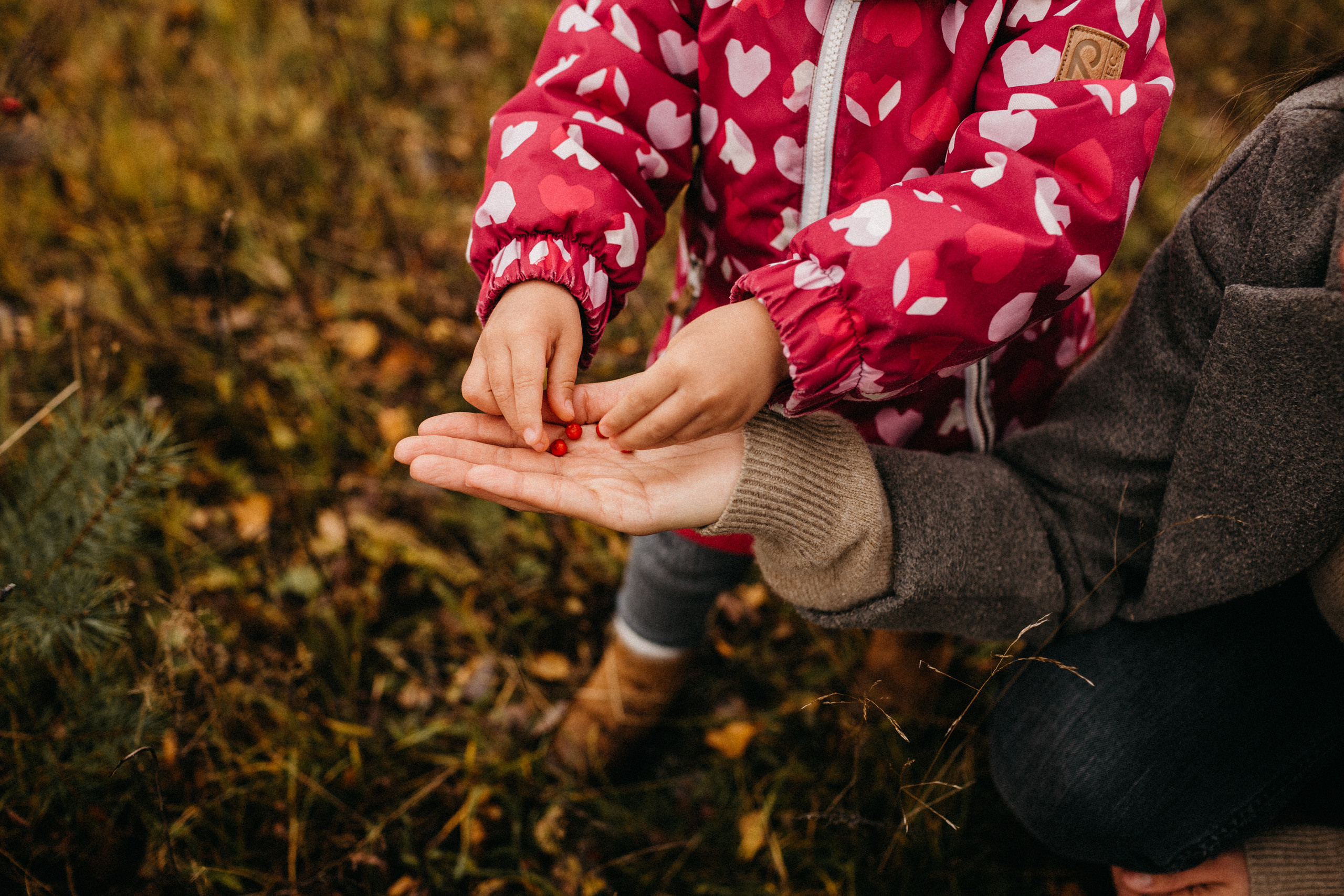 Прогулка в полях. Свадебный и семейный фотограф Спб Бошман Ирина