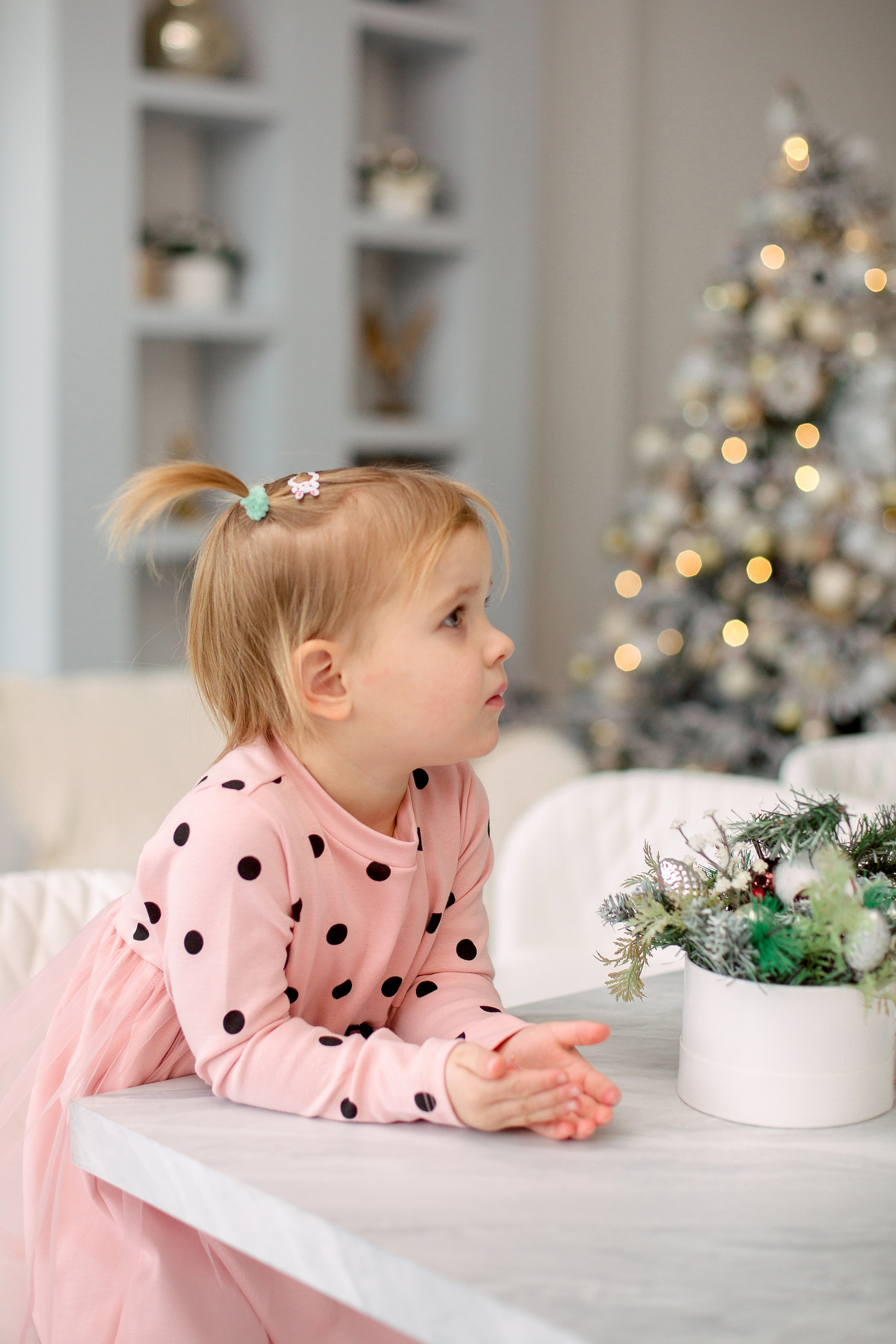 Новогоднее чудо. Свадебный и семейный фотограф Спб Бошман Ирина