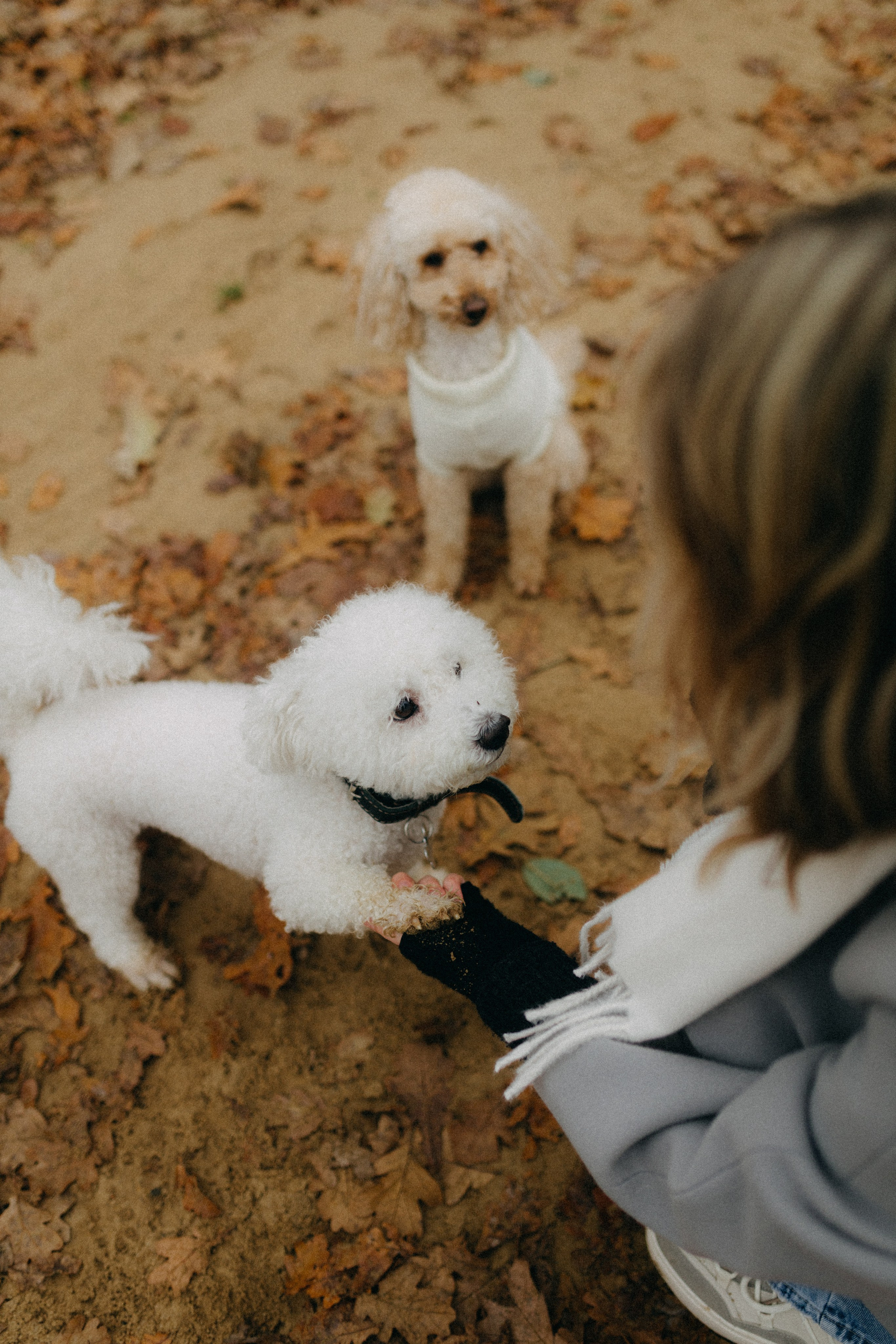 Лена & Миша. Фотограф НОГИНСК, Москва, Анастасия Белая