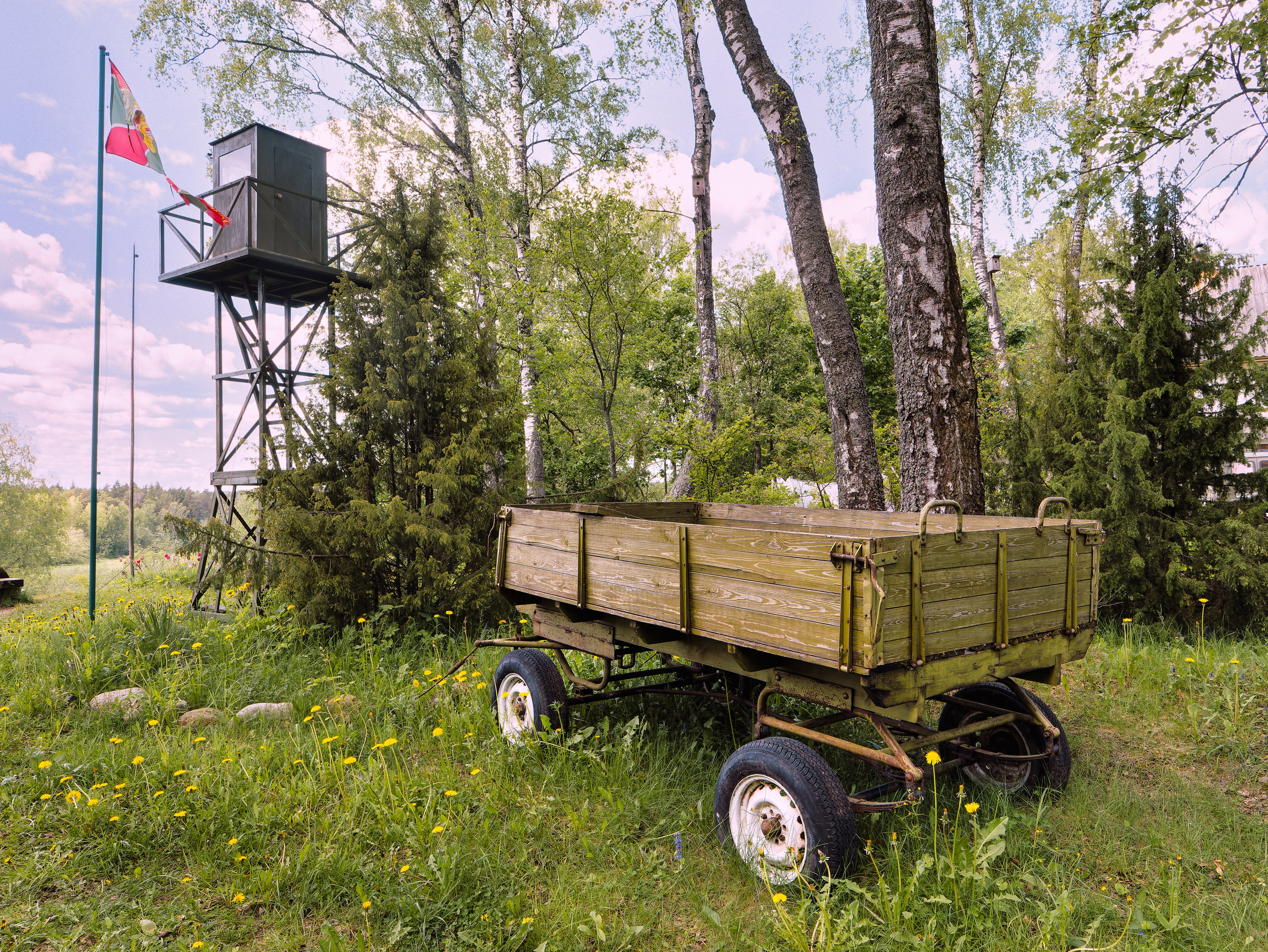 На берегу Угры. Конец мая 2024 года. Фотограф Никифоров-Гордеев Сергей. Москва и МО