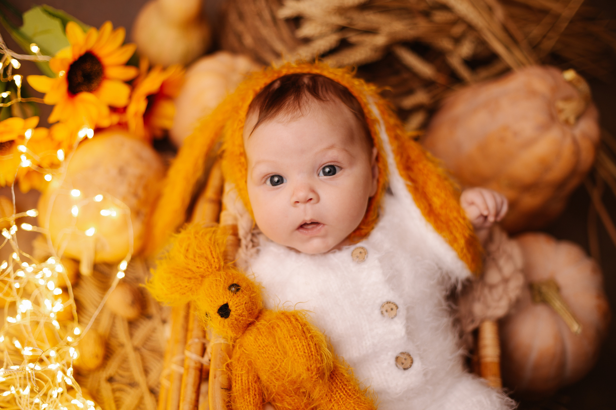 Осень в студии. Фотограф новорожденных и семей Туапсе Краснодарский край Анна Альтман