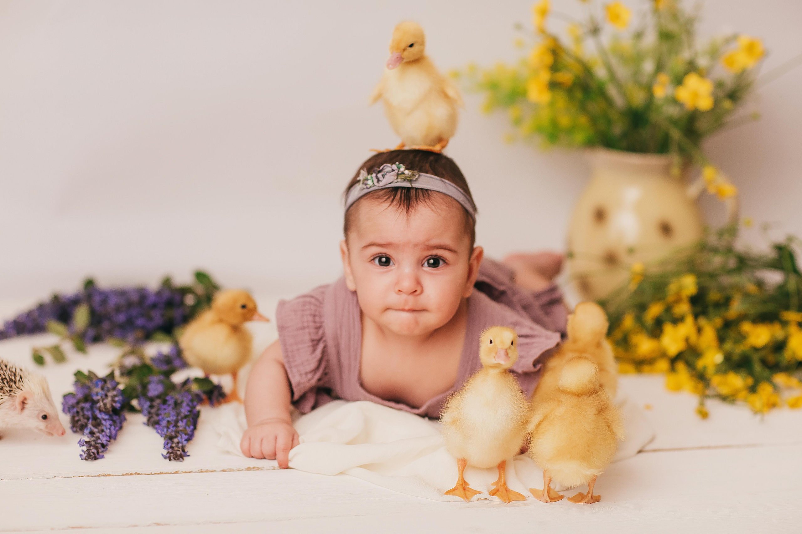 Утята, ежата, крольчата, цыплята. Фотограф новорожденных и семей Туапсе Краснодарский край Анна Альтман