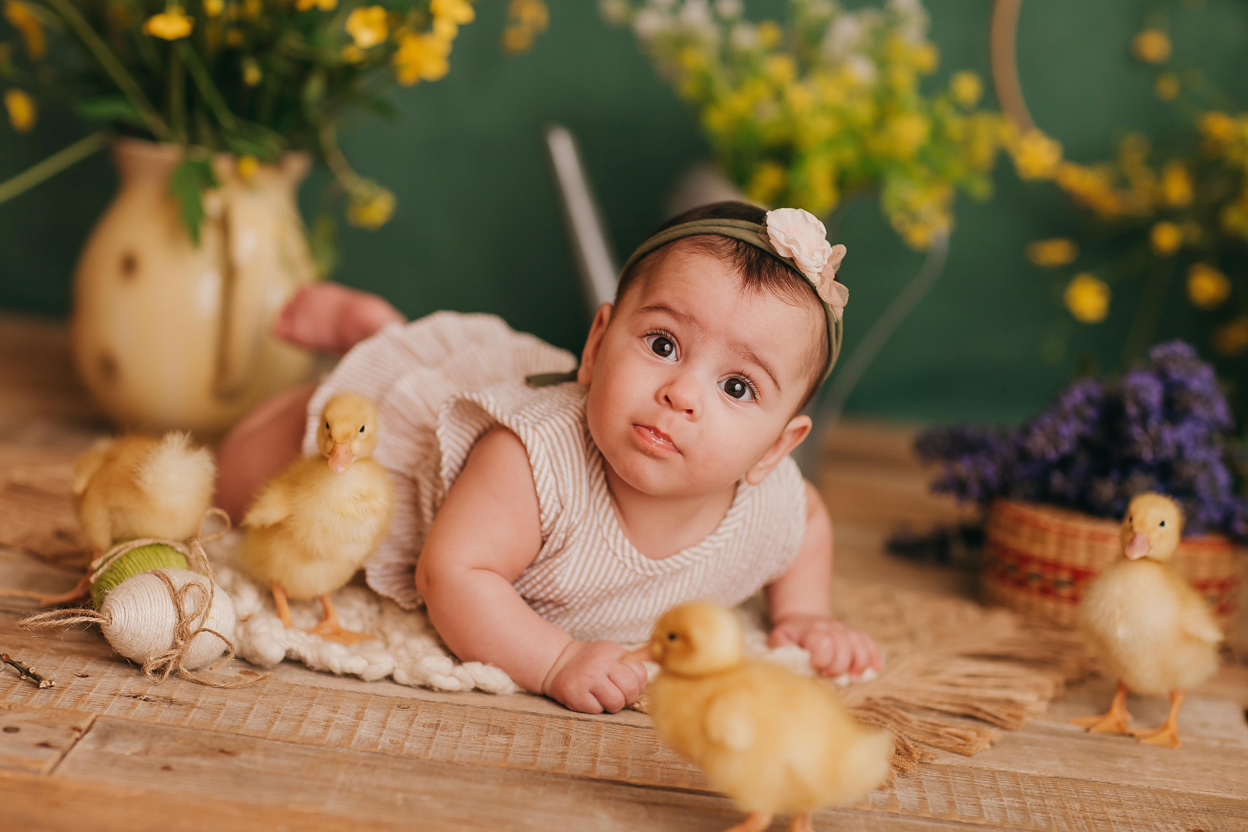 Утята, ежата, крольчата, цыплята. Фотограф новорожденных и семей Туапсе Краснодарский край Анна Альтман