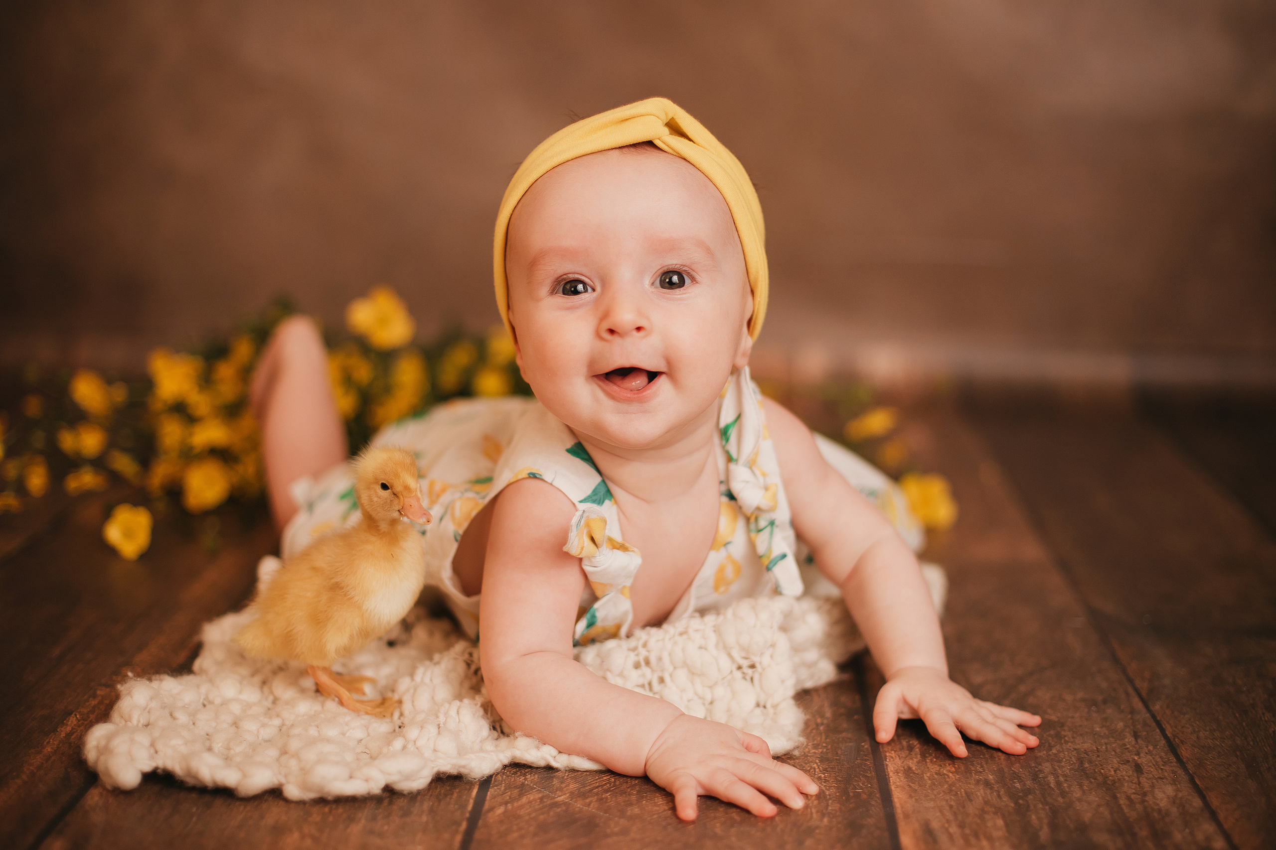 Утята, ежата, крольчата, цыплята. Фотограф новорожденных и семей Туапсе Краснодарский край Анна Альтман