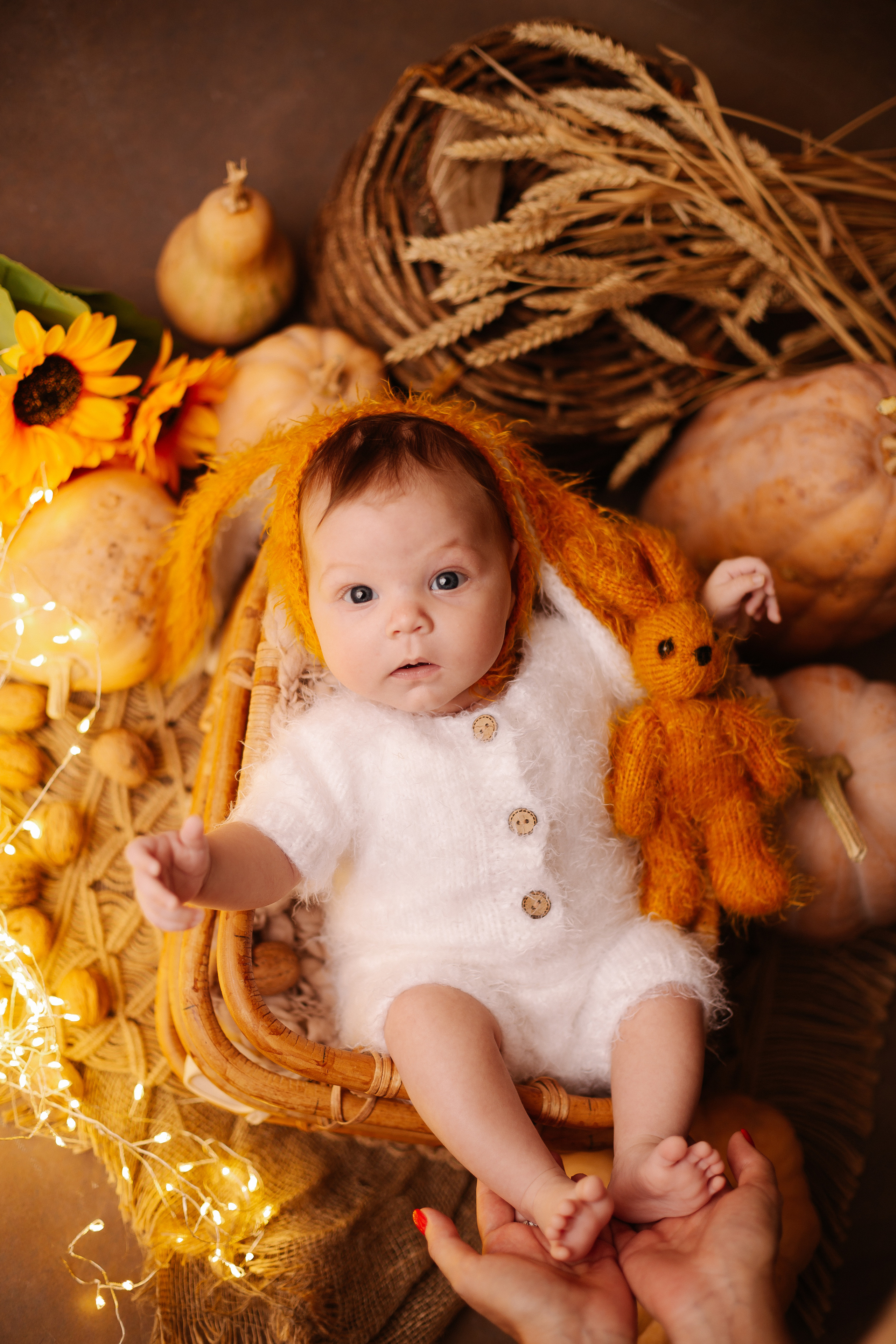 Осень в студии. Фотограф новорожденных и семей Туапсе Краснодарский край Анна Альтман