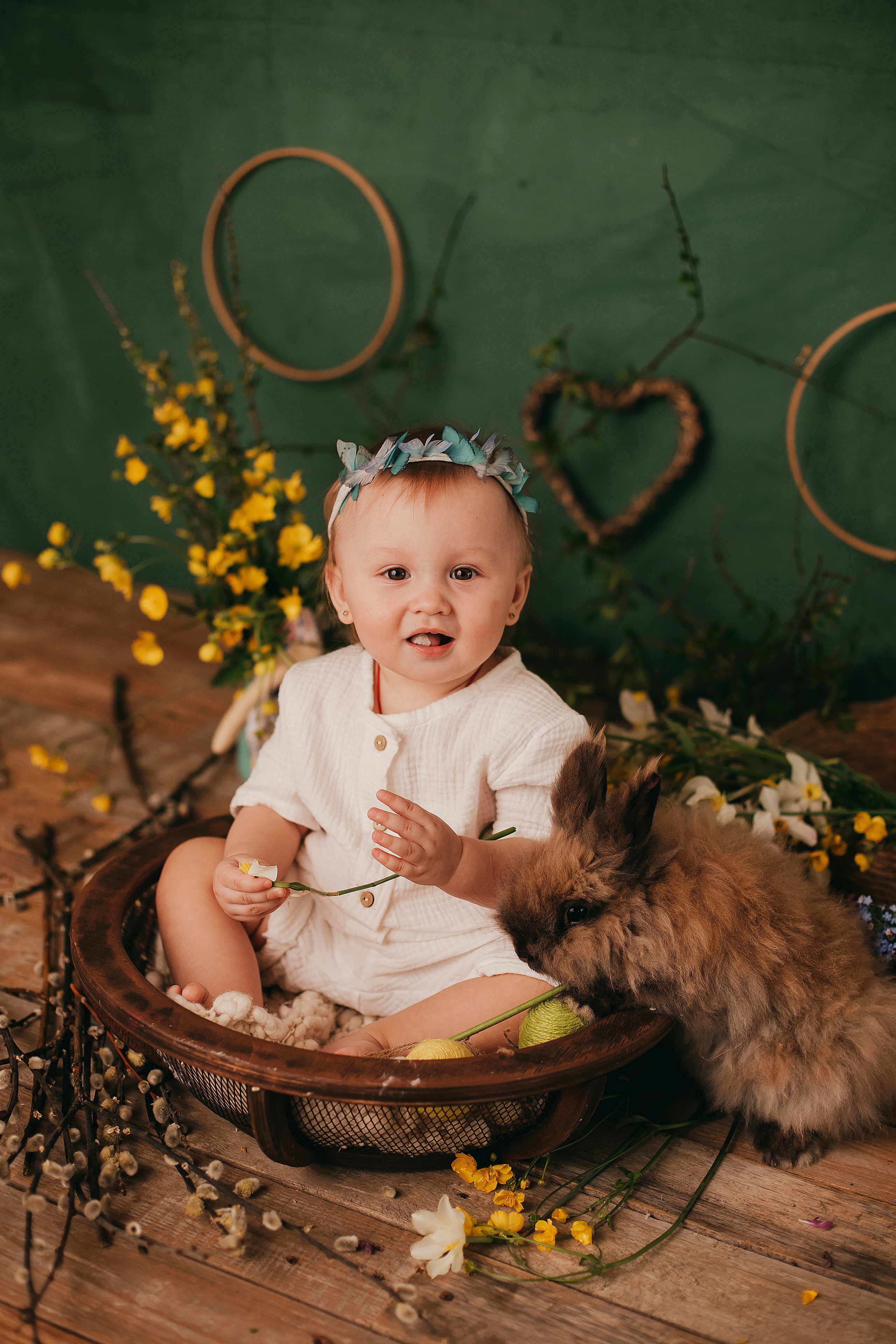 Утята, ежата, крольчата, цыплята. Фотограф новорожденных и семей Туапсе Краснодарский край Анна Альтман