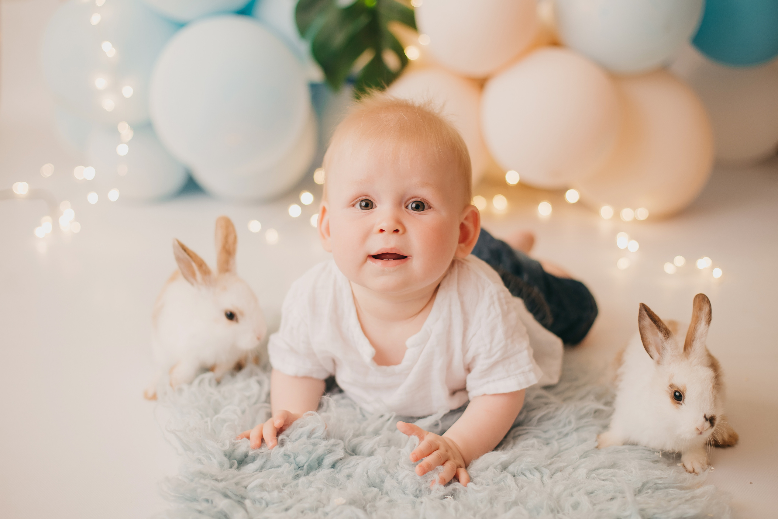 Утята, ежата, крольчата, цыплята. Фотограф новорожденных и семей Туапсе Краснодарский край Анна Альтман