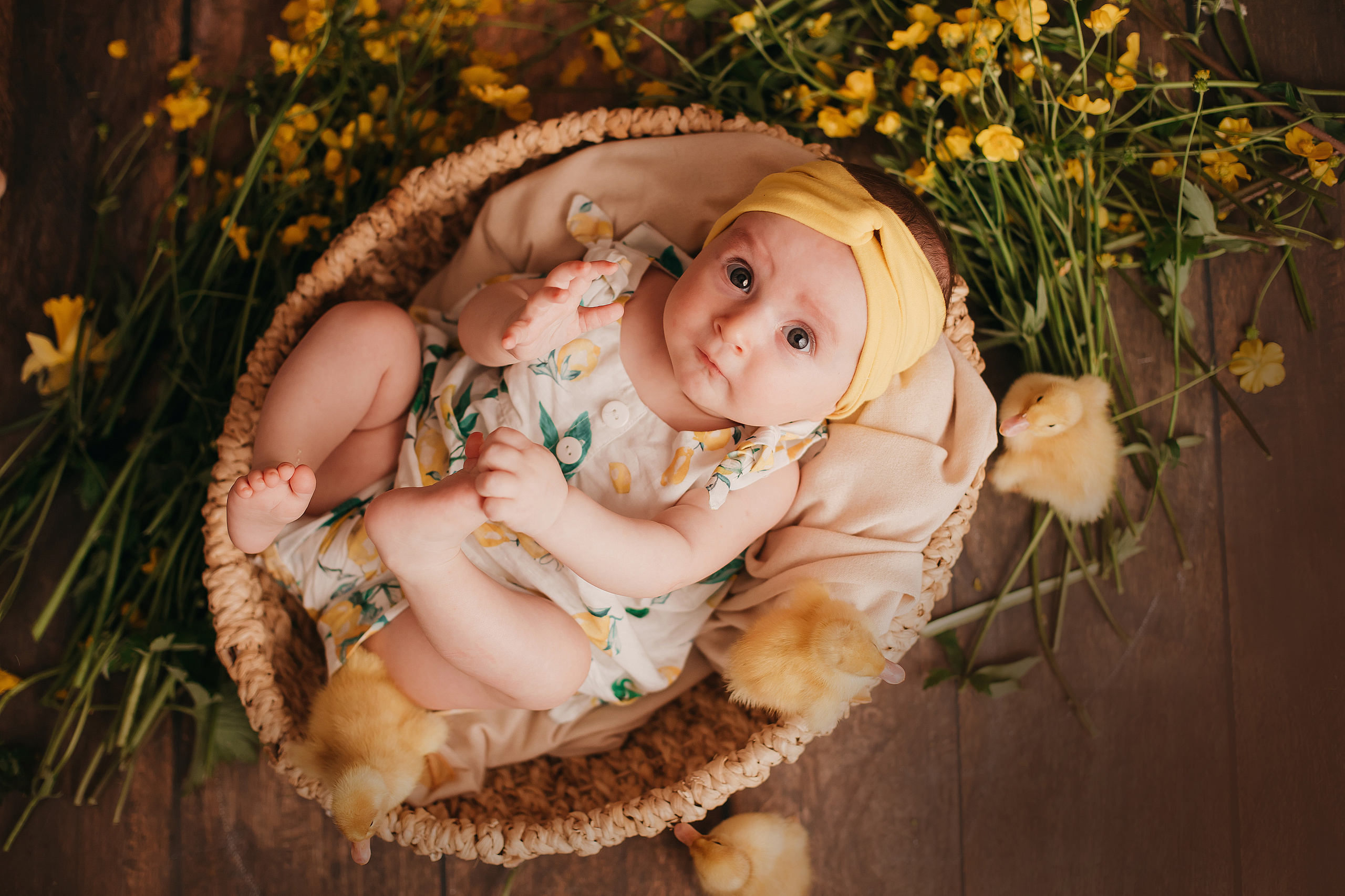 Утята, ежата, крольчата, цыплята. Фотограф новорожденных и семей Туапсе Краснодарский край Анна Альтман