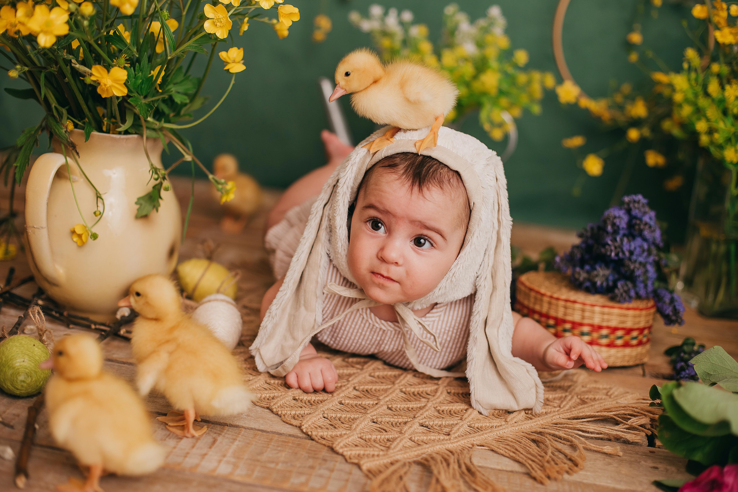 Утята, ежата, крольчата, цыплята. Фотограф новорожденных и семей Туапсе Краснодарский край Анна Альтман