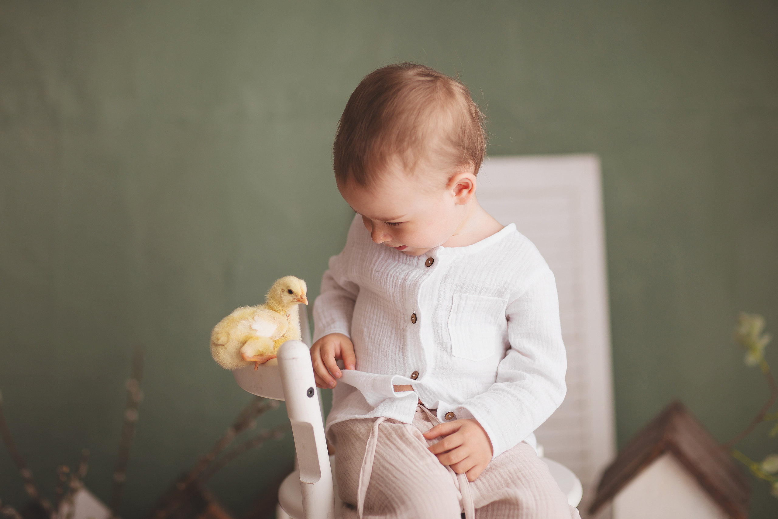 Утята, ежата, крольчата, цыплята. Фотограф новорожденных и семей Туапсе Краснодарский край Анна Альтман