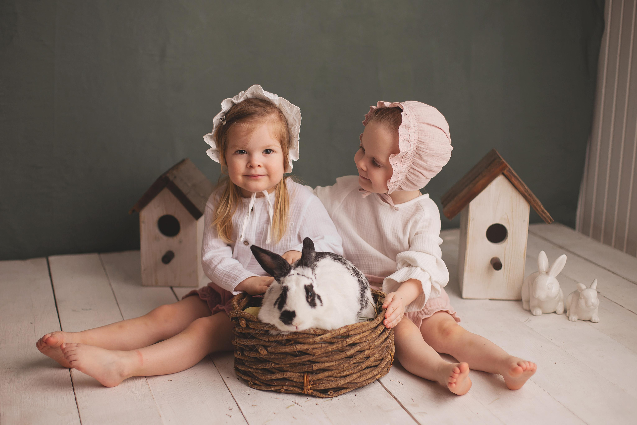 Утята, ежата, крольчата, цыплята. Фотограф новорожденных и семей Туапсе Краснодарский край Анна Альтман