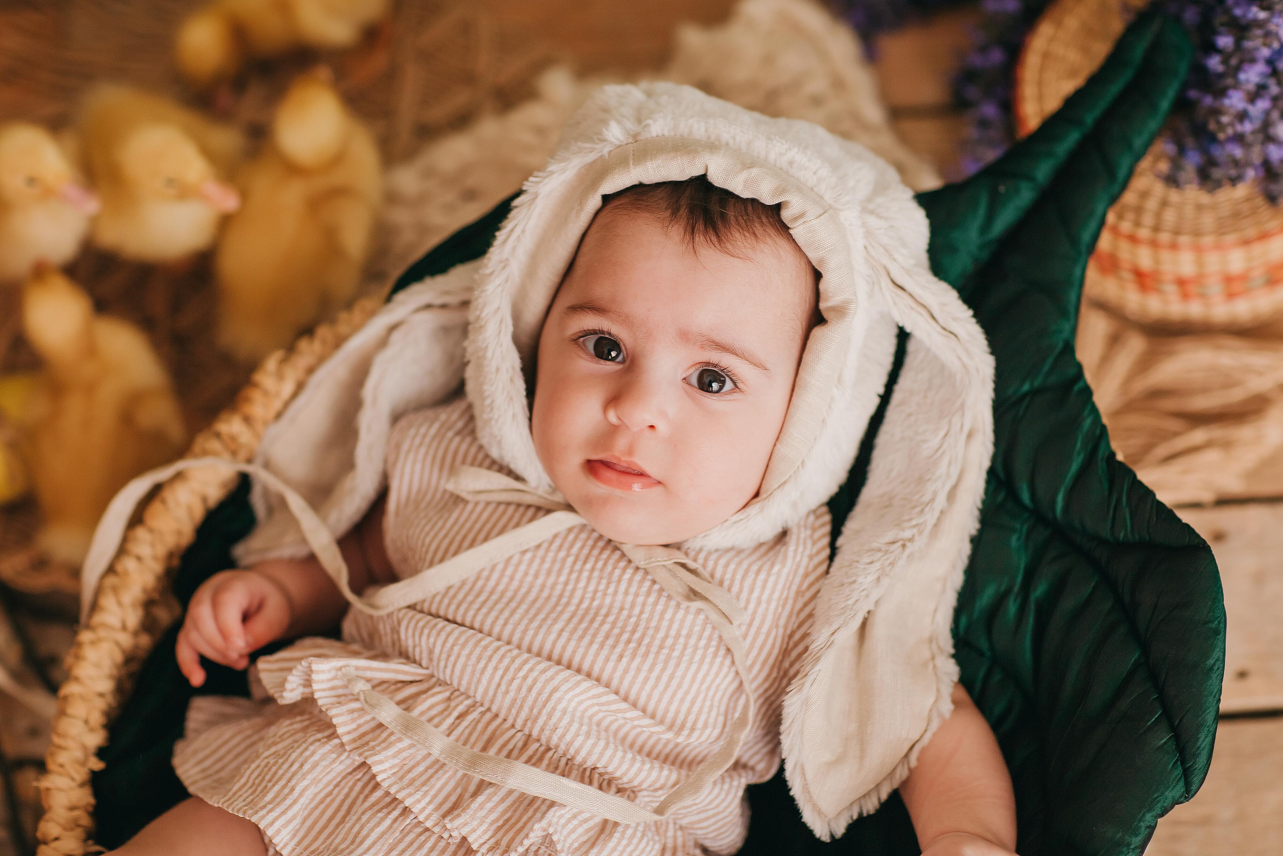 Утята, ежата, крольчата, цыплята. Фотограф новорожденных и семей Туапсе Краснодарский край Анна Альтман