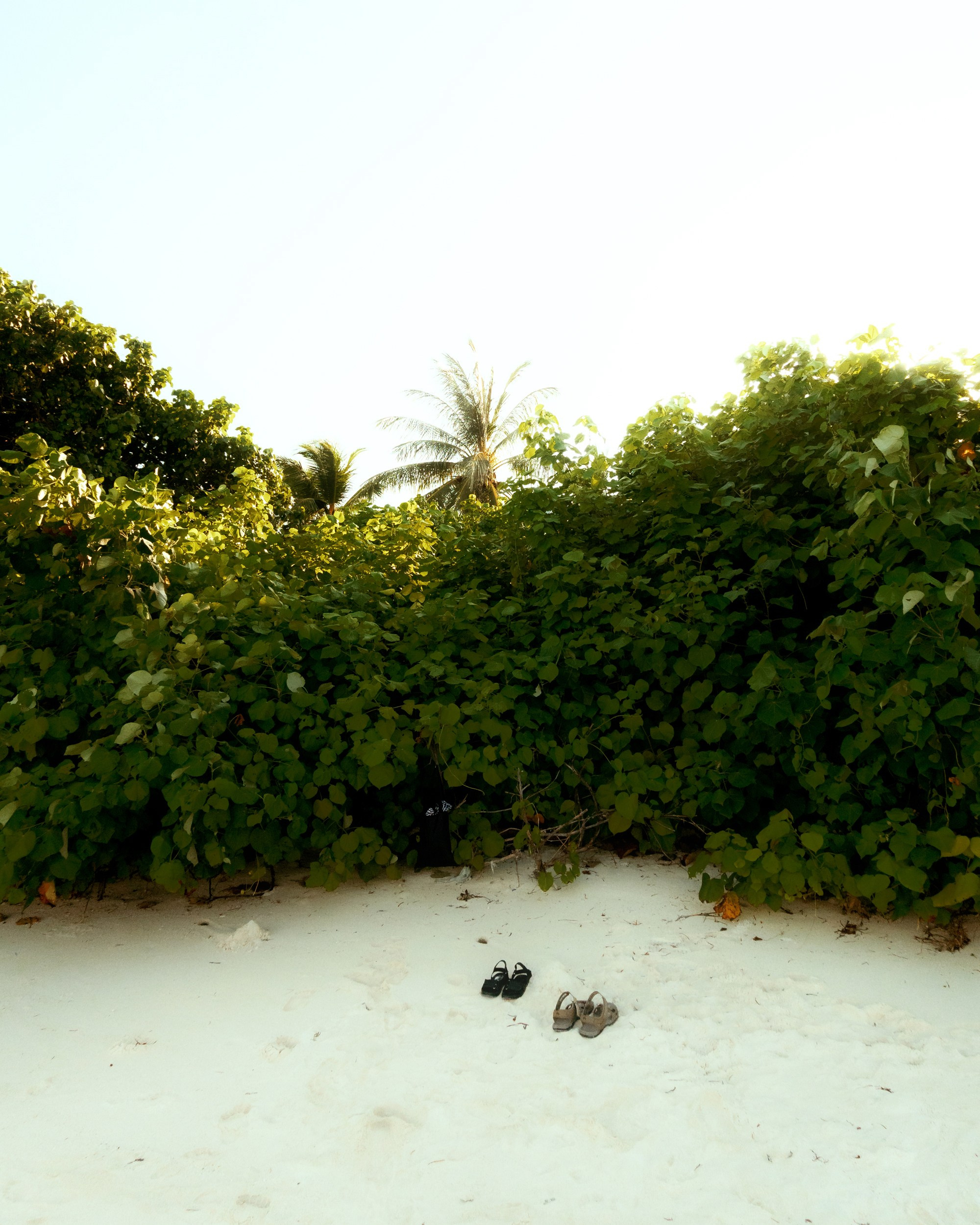 Ktokuda. Фотограф в Хабаровске. Фотография за 24 часа