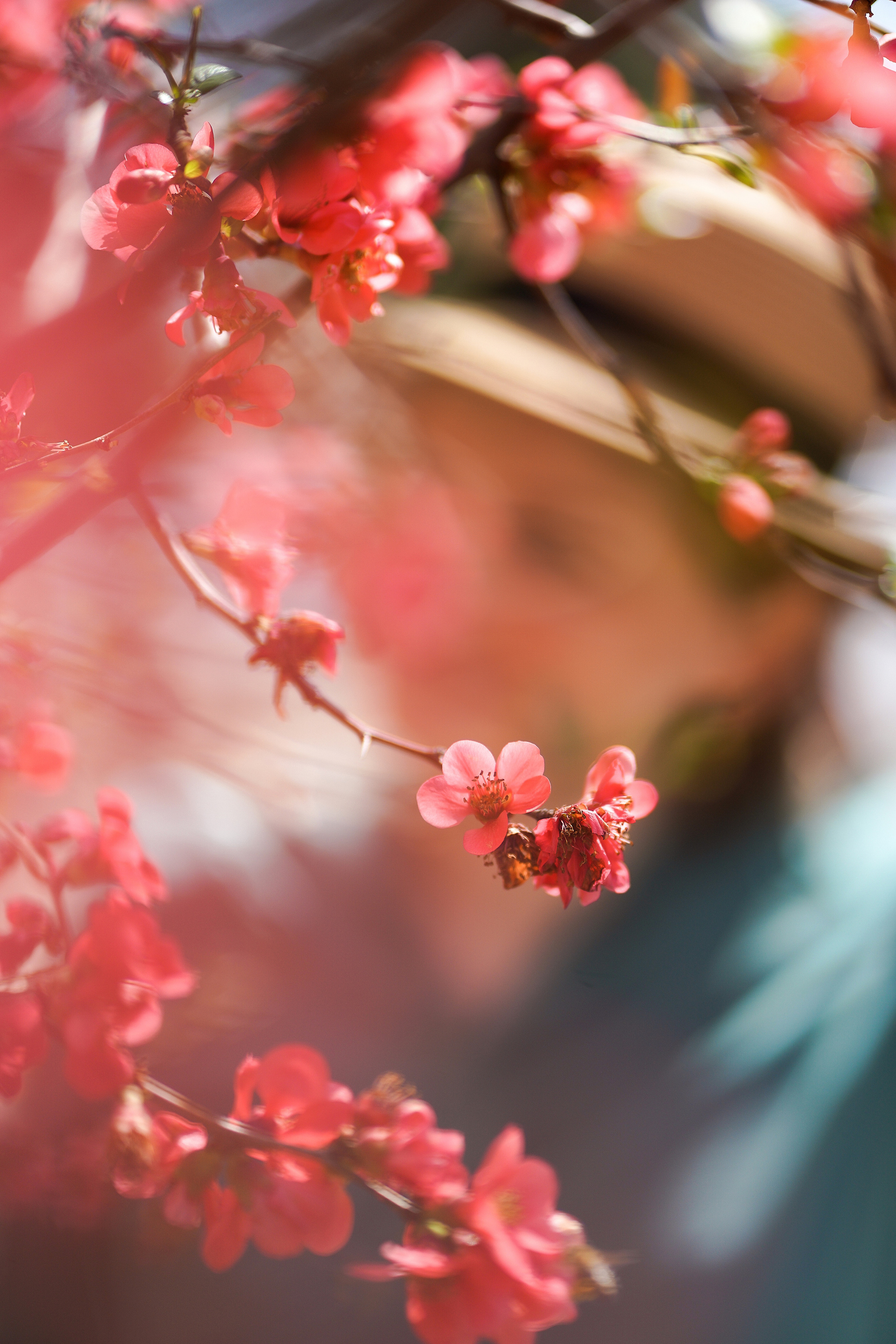 КОНТЕНТ СЪЕМКА I ВИЗУАЛ. Профессиональный фотограф Виктория Соломкина. Майкоп-ЮФО